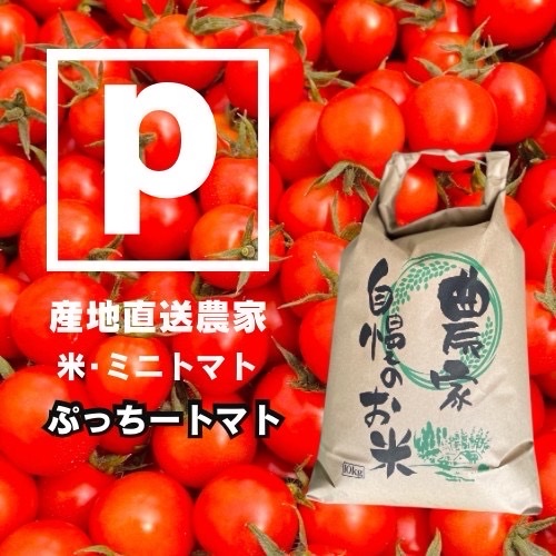 ぷっちートマト（熊本県・玉名市）｜生産者詳細｜産直アウル