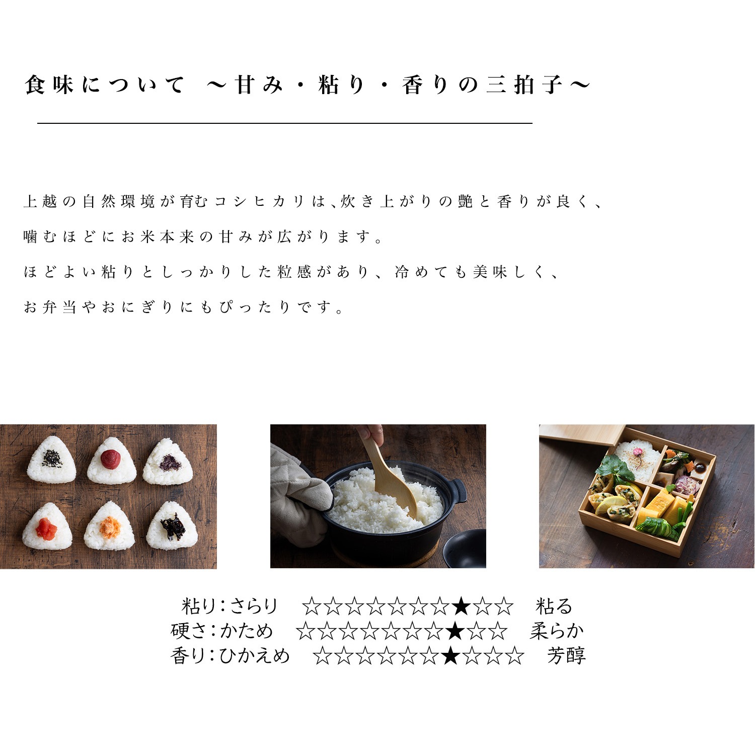 新潟県産コシヒカリ,和泉,5kg,令和7年新米,【受注後精米・農家直売