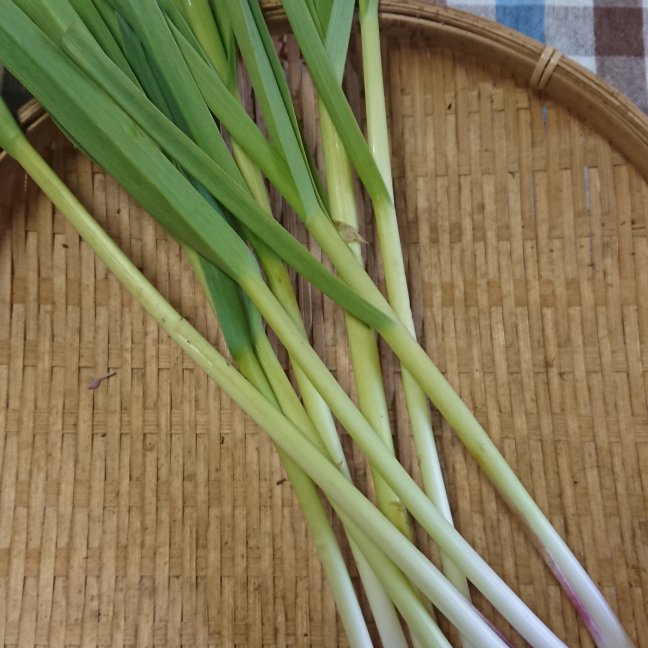 葉にんにく ｜ 野菜/にんにく 産直アウル 農家・漁師など生産者から