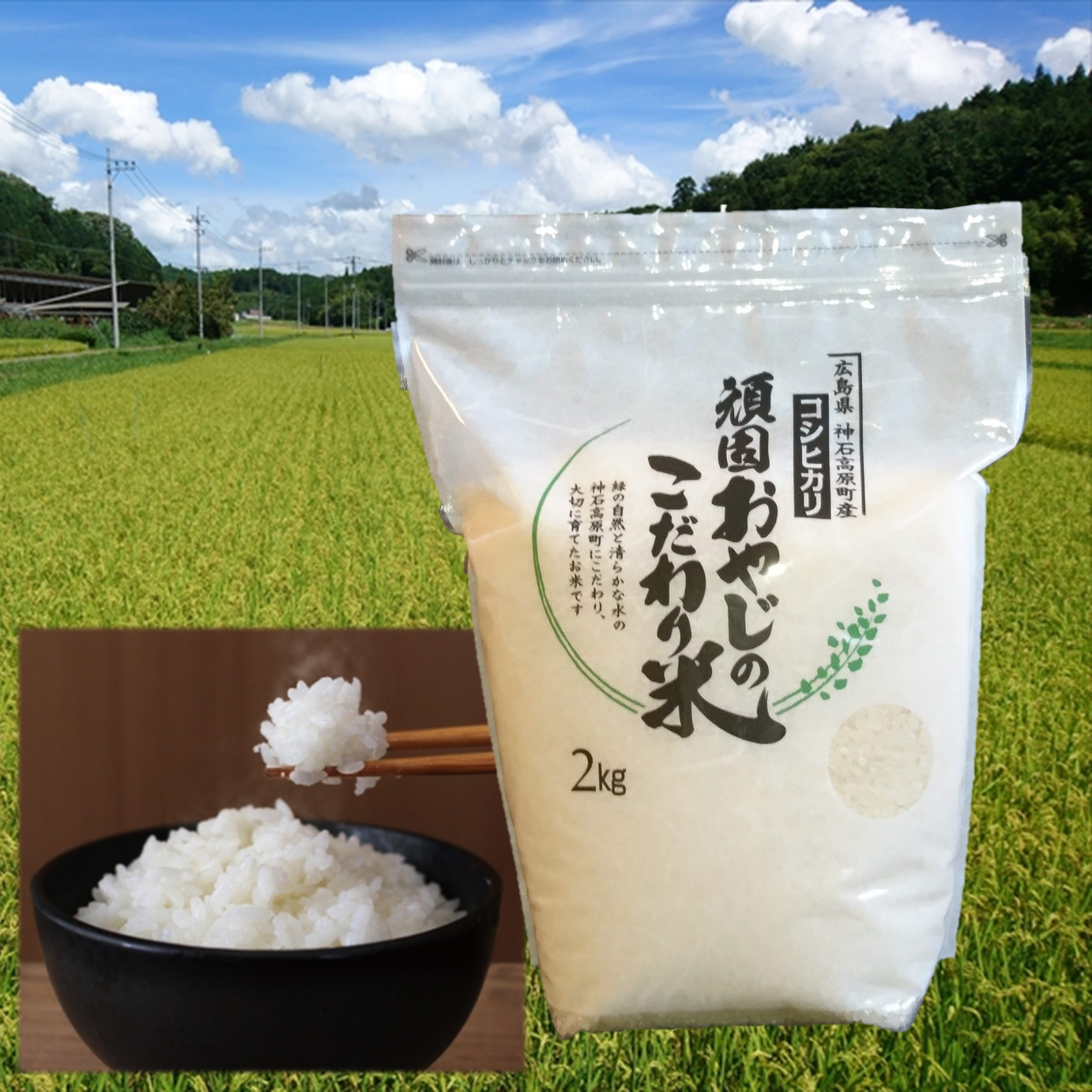コシヒカリ 精米10㎏（2kg×5） 広島県神石高原町 令和4年産 ｜ 米