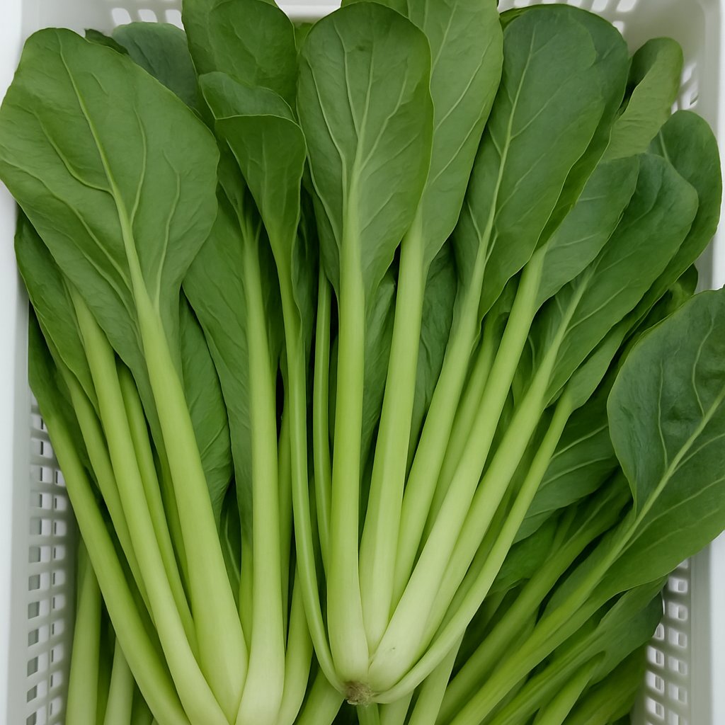 f125701d53b593e0048e63342058dd