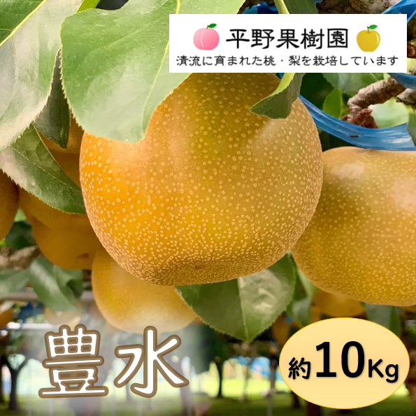 清流球磨梨・豊水 約10Kg【5kg箱(5〜14個入り)を2箱重ねてお届け