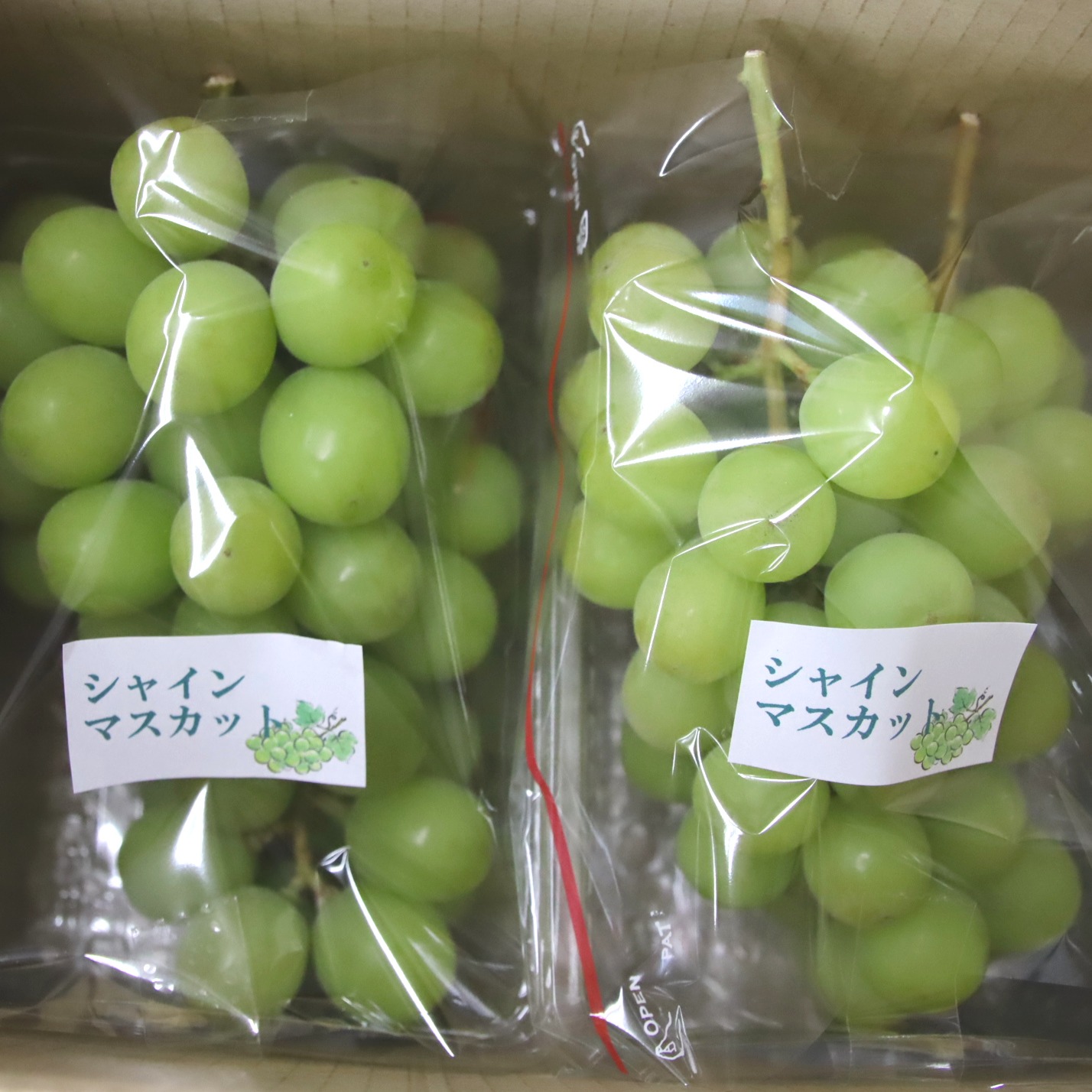 毎年大人気のご家庭用・山梨県産シャインマスカット1㎏ ｜ 果物/ぶどう