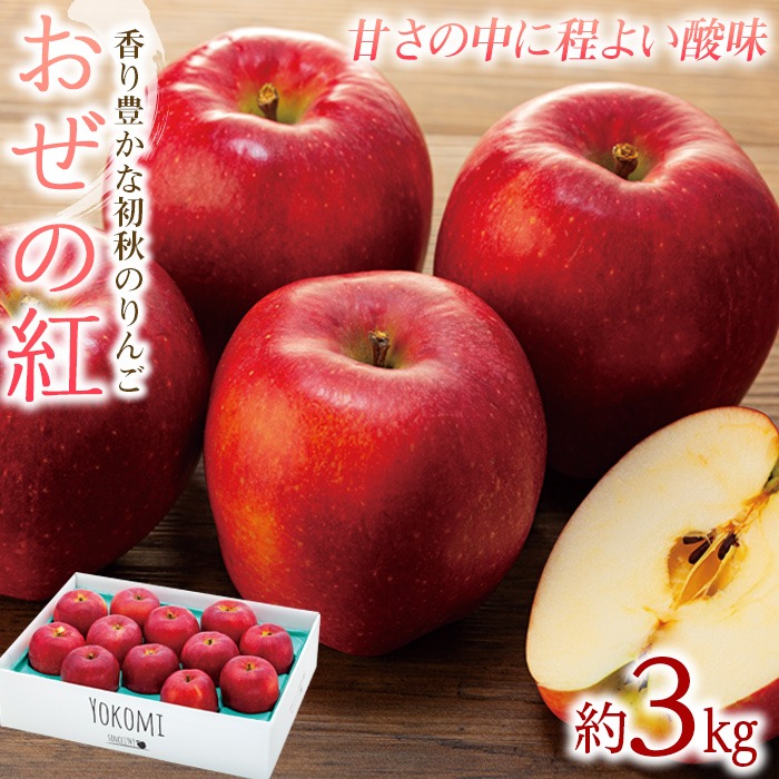 【赤りんご様】専用・赤360ｇ/ベージュ300ｇ≪フォロー割特価≫ りんご【おぜの紅】約3kg 2026年度予約受付中 香り豊かな初秋のりんご