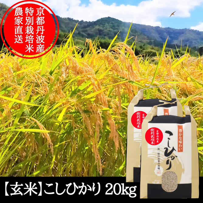 玄米】 コシヒカリ20kg 特別栽培米 新米 京都府産 こしひかり | 米