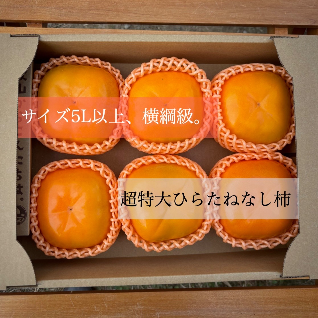 送料500円引き🍂】数量限定⭐️ どすこい！大きさ横綱級。 超特大