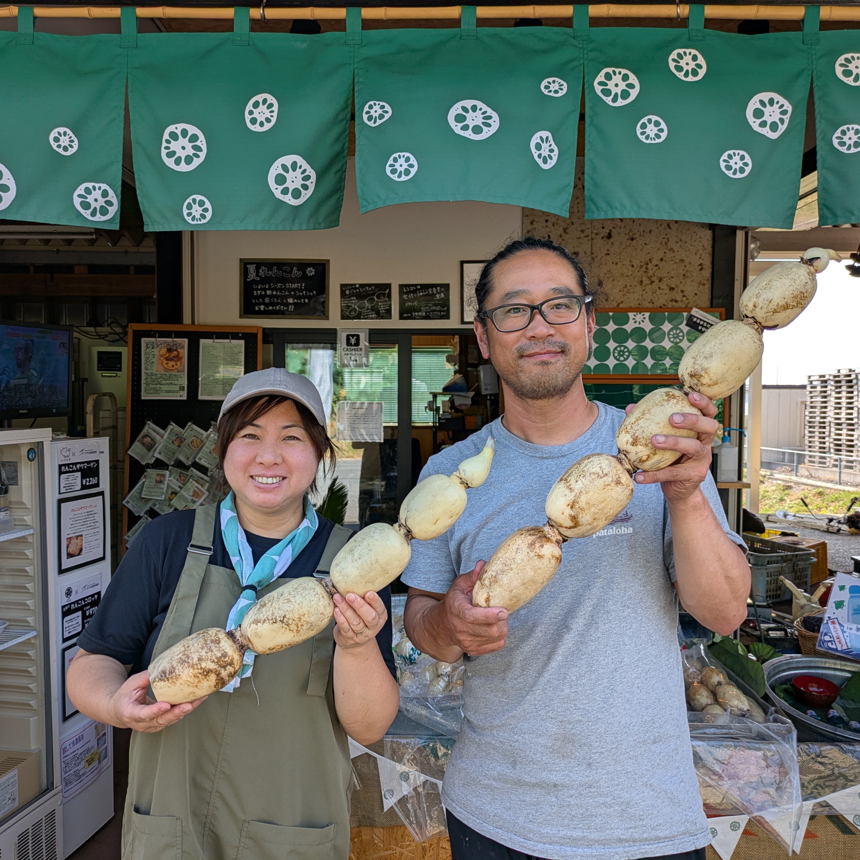 belleさん専用：京都産【特上品】【家庭用】４㎏　サイズ混載クール便直送 クール便 訳あり「竹」2キロ 新鮮！朝堀りれんこんのご自宅用 ｜ 野菜