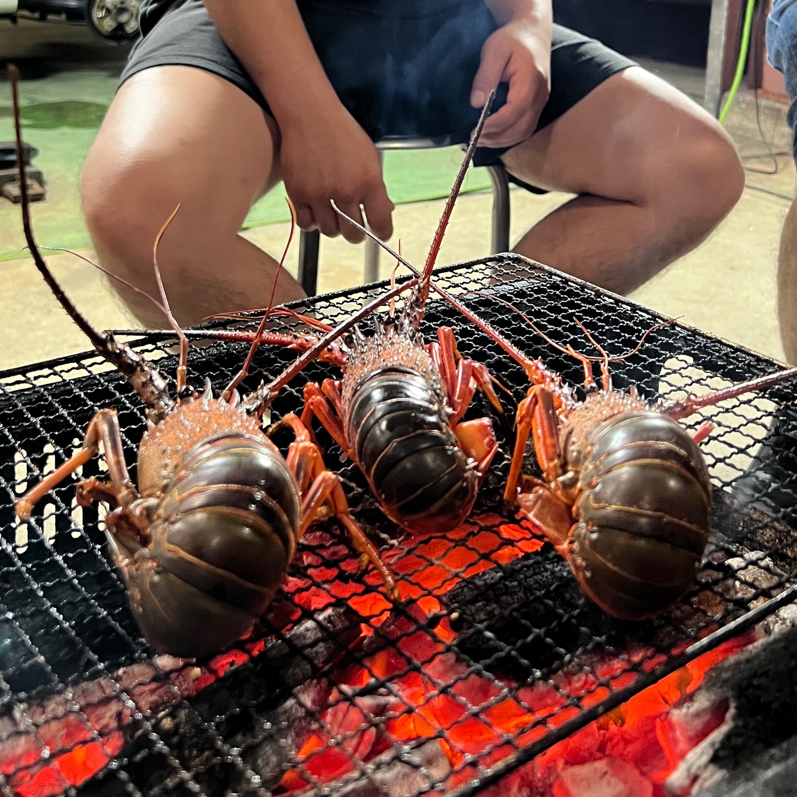 超特大イセエビ】 1匹 ｜ 魚介類/エビ 産直アウル 農家・漁師など生産