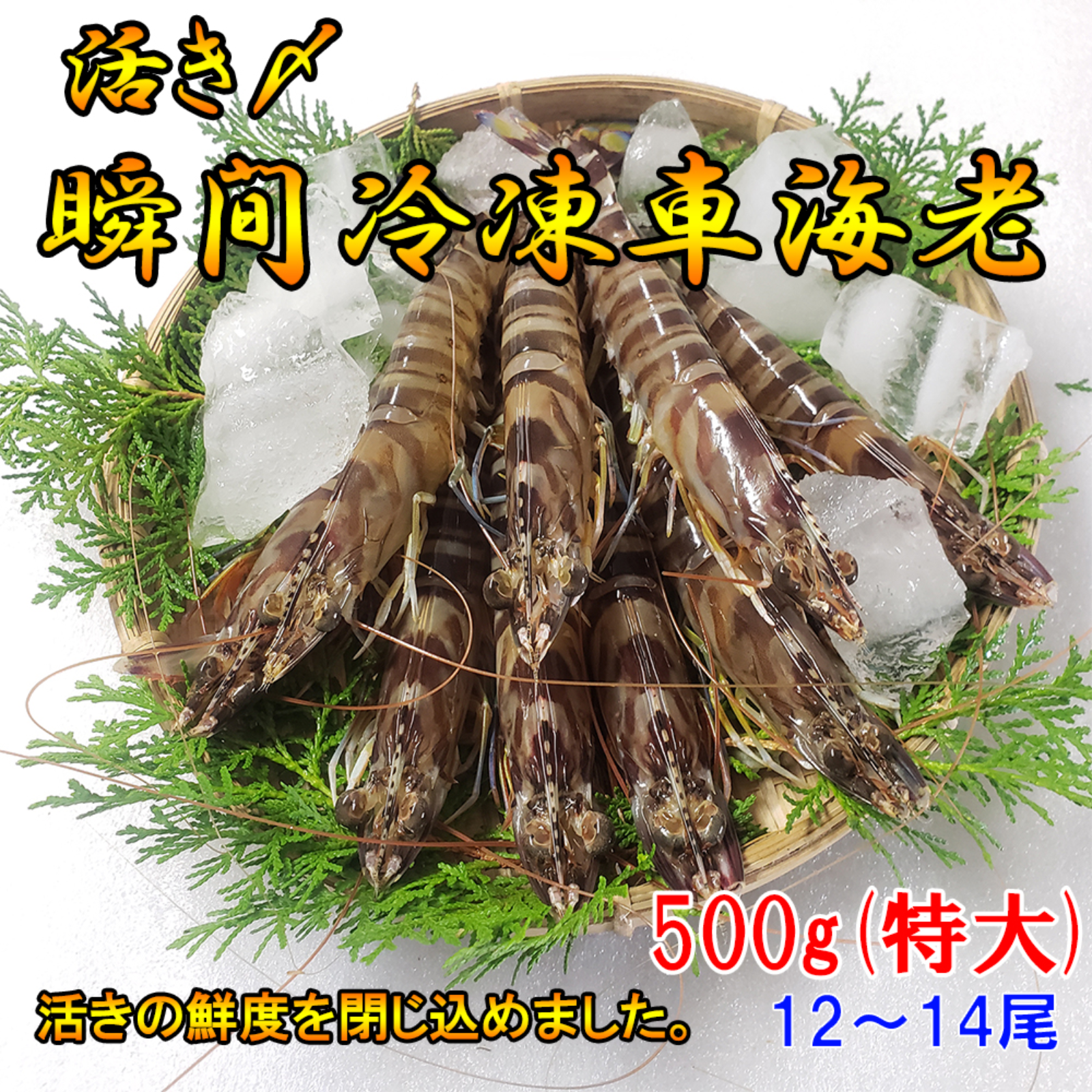 エビ吉さま fit=scale-down,w=1200