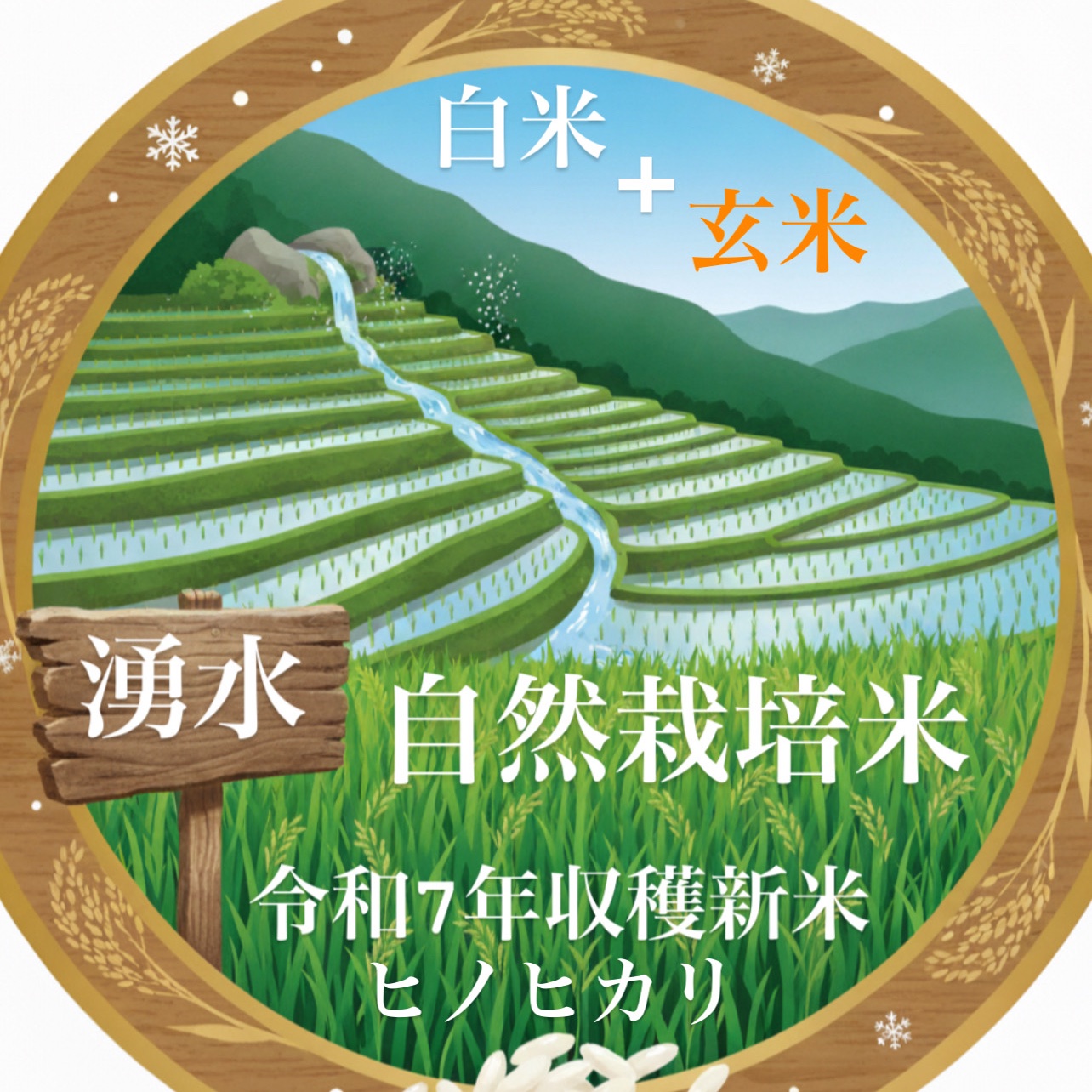 120年以上続く棚田の湧水自然栽培米（ミネラル豊富）
