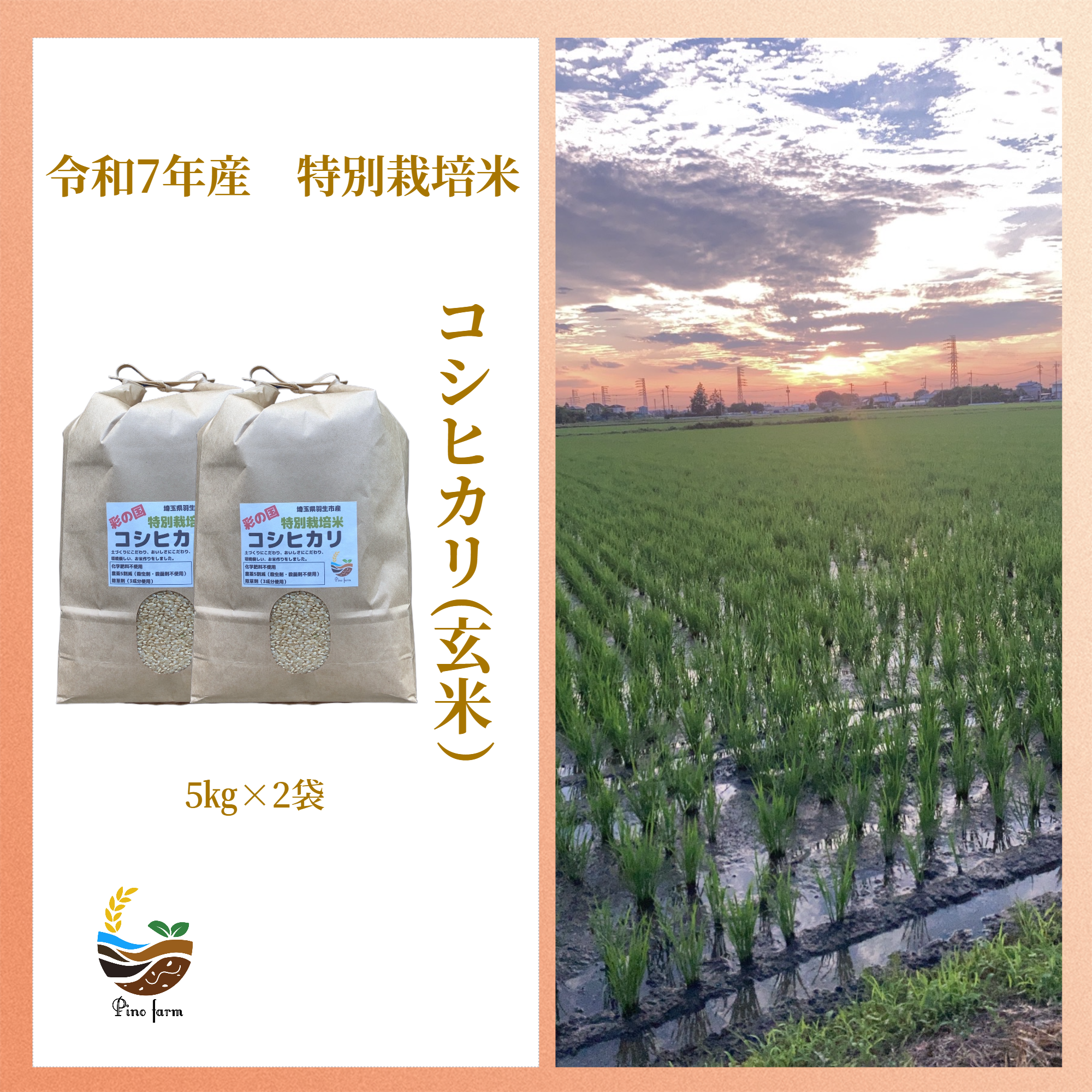 R7年富山県産コシヒカリ玄米5kg×2袋✳️関東、東海、信越、関西地域限定 R7年産特別栽培米 コシヒカリ（玄米） 5kg×2袋 ｜ 米・穀物/玄米 産直