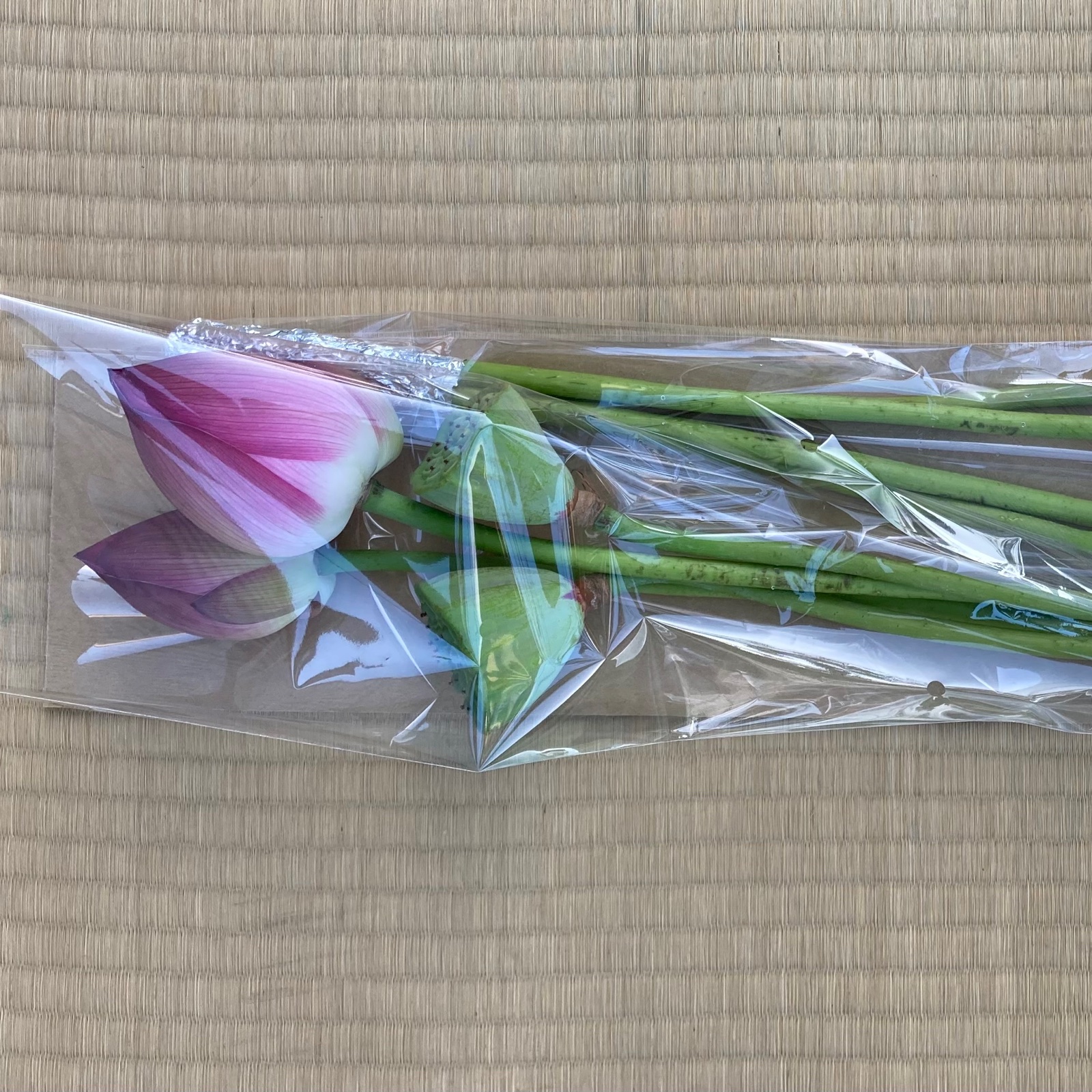 蓮の花と蓮台セット ｜ 花・植物/花・植物 産直アウル 農家・漁師など
