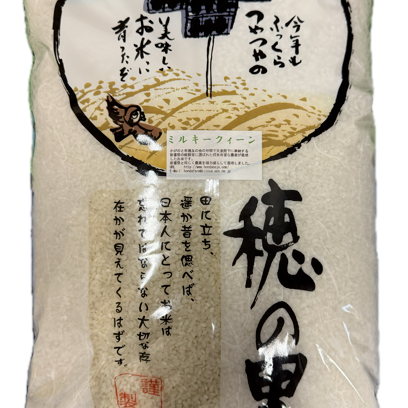 令和7年産 新米 石川県産 ミルキークイーン 玄米 10kg | 米・穀物/玄米