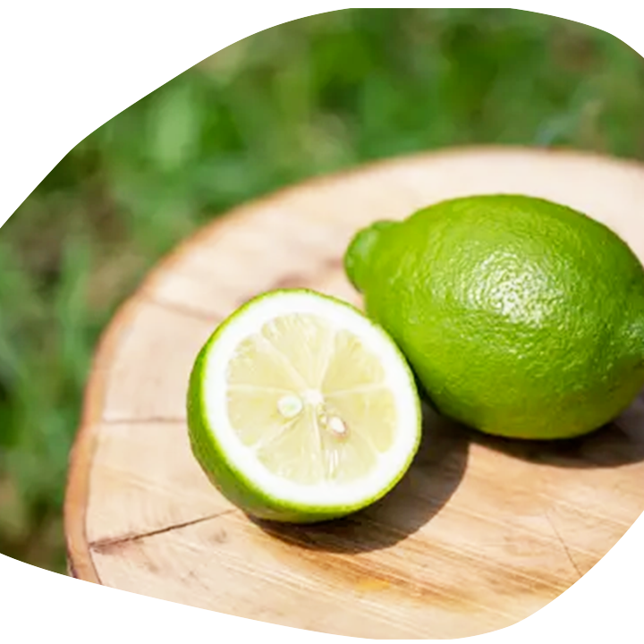 自然栽培レモン】5㎏箱詰-農薬不使用・無肥料・無除草剤 | 果物/香酸