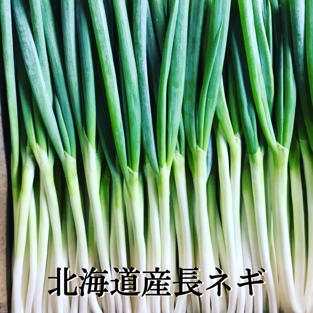 長ネギ4kg ｜ 野菜/ねぎ 産直アウル 農家・漁師など生産者から直接野菜