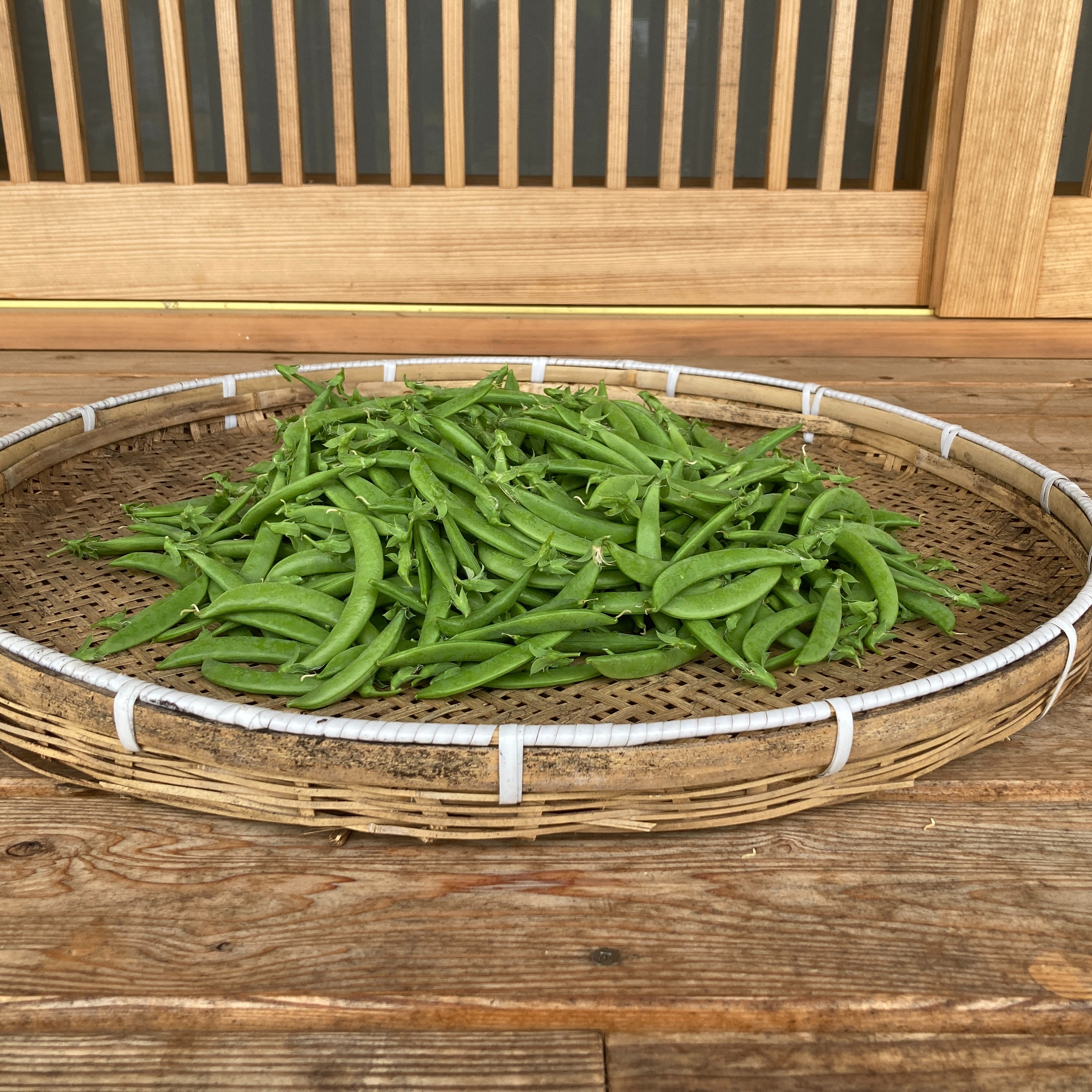 スナップエンドウ 箱込2kg ｜ 野菜/豆類 産直アウル 農家・漁師など