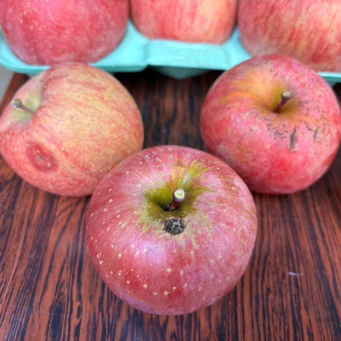 🍎【訳あり】サンふじ：ご家庭用に | 果物/りんご 産直アウル 農家から