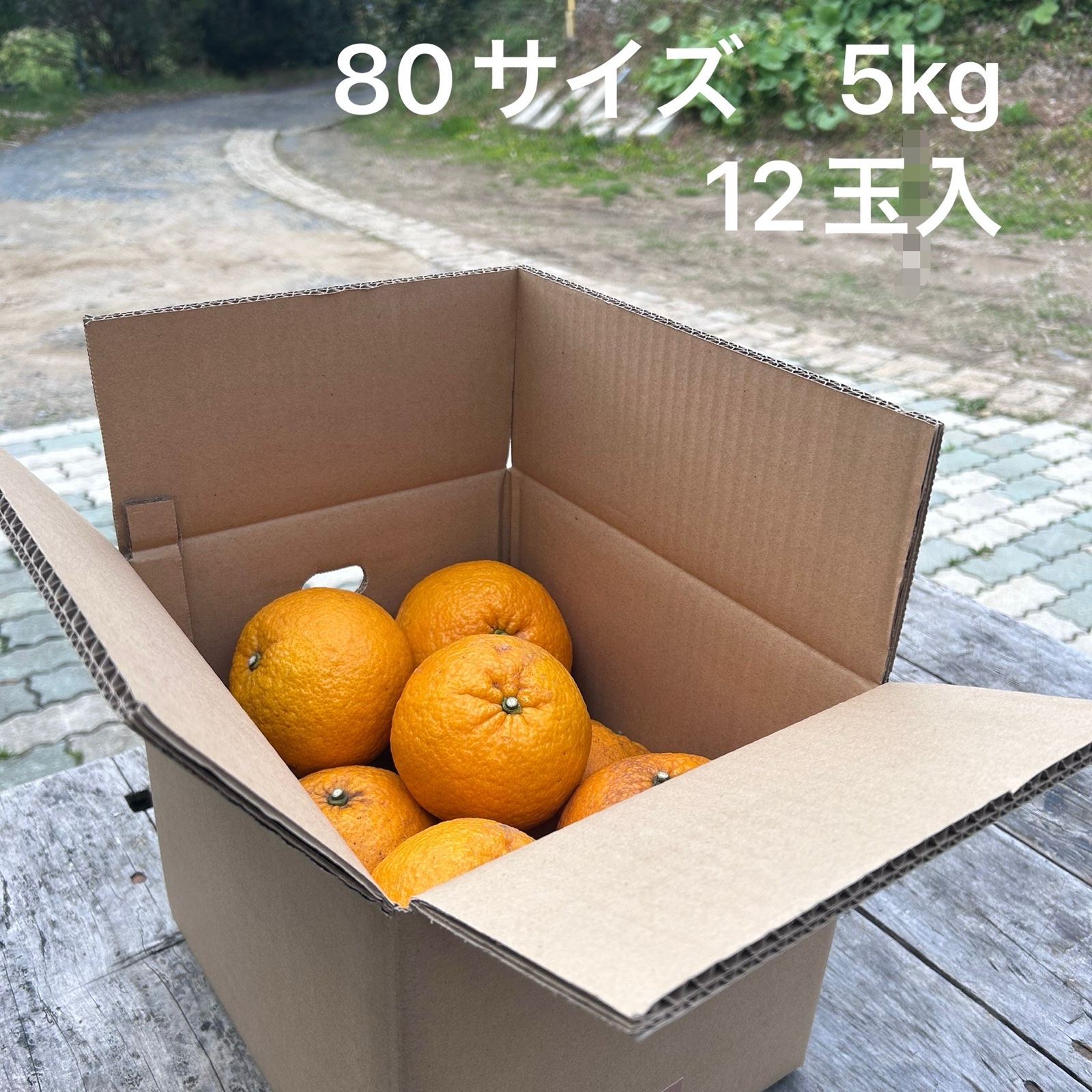 専用出品　あんず様5kg 農薬／除草剤不使用】木なり甘夏 5kg(10~12玉入) ｜ 果物/オレンジ