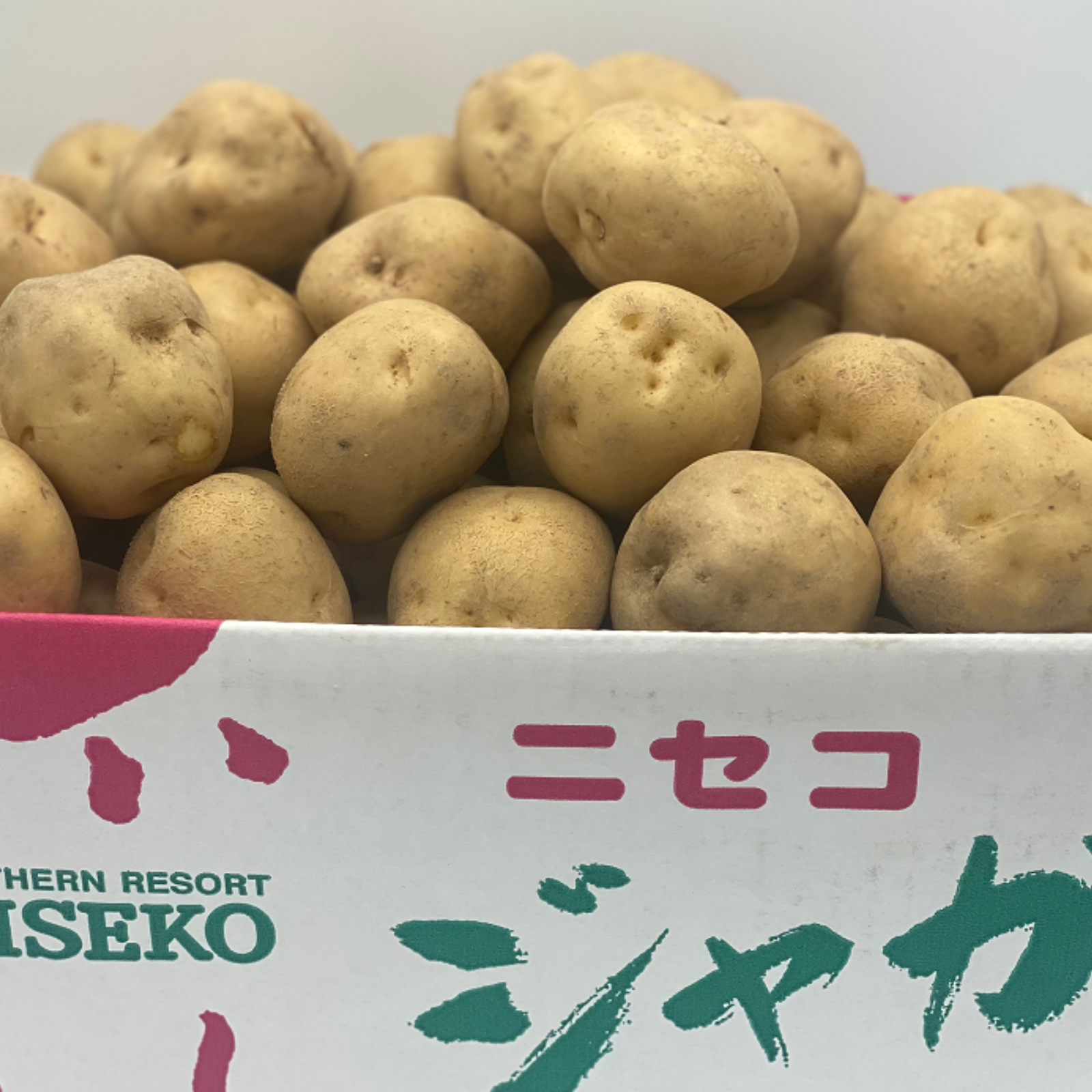 じゃがいも 26 とうや L 10kg 北海道 ニセコ 食べたらわかるこの美味さ！ | 野菜