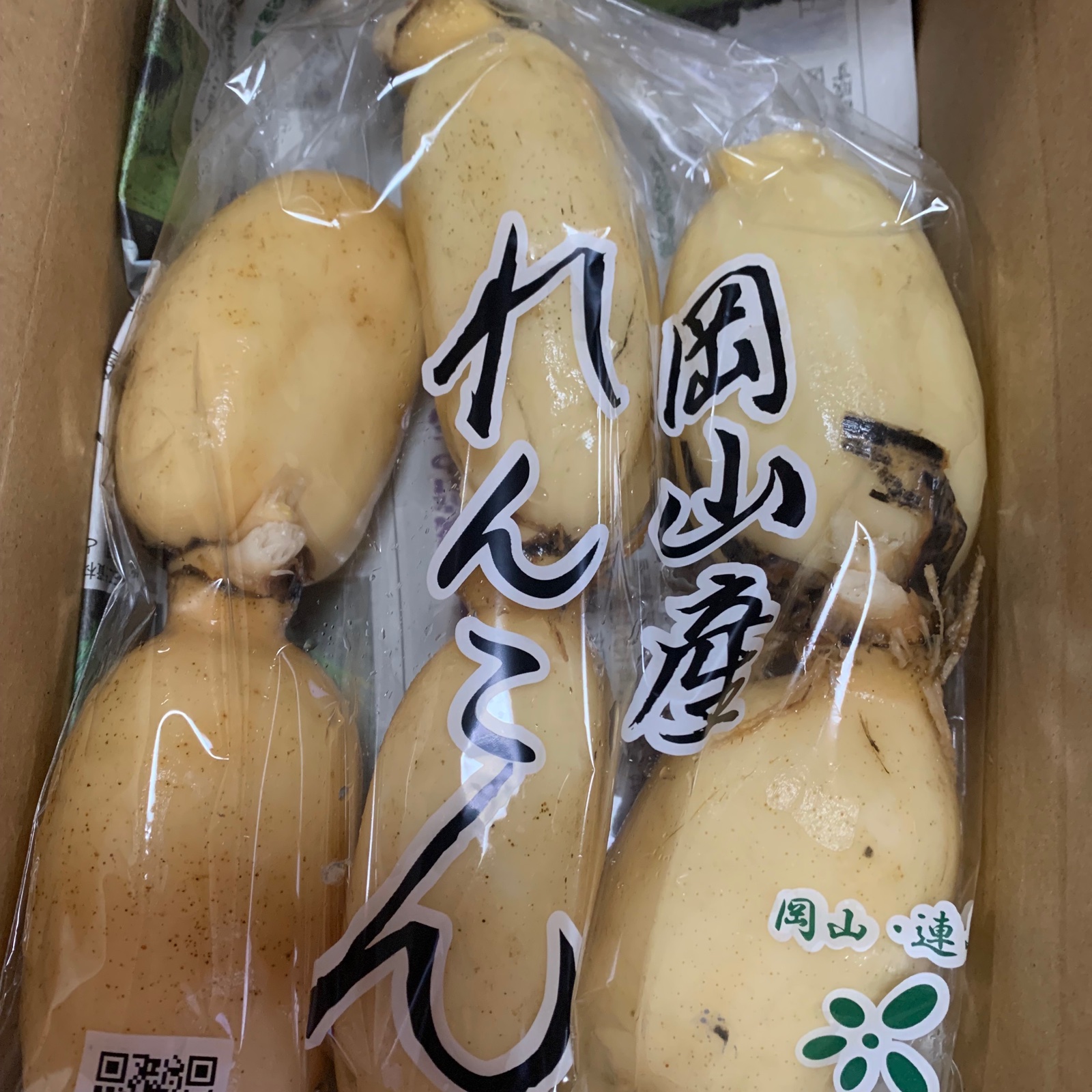 連島れんこん500g 2箱セット ｜ 野菜/蓮根 産直アウル 農家・漁師など