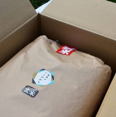 コシヒカリ　玄米　25kg 令和6年産　栃木県産　精米込み 楽天市場】玄米 こしひかり 栃木の通販