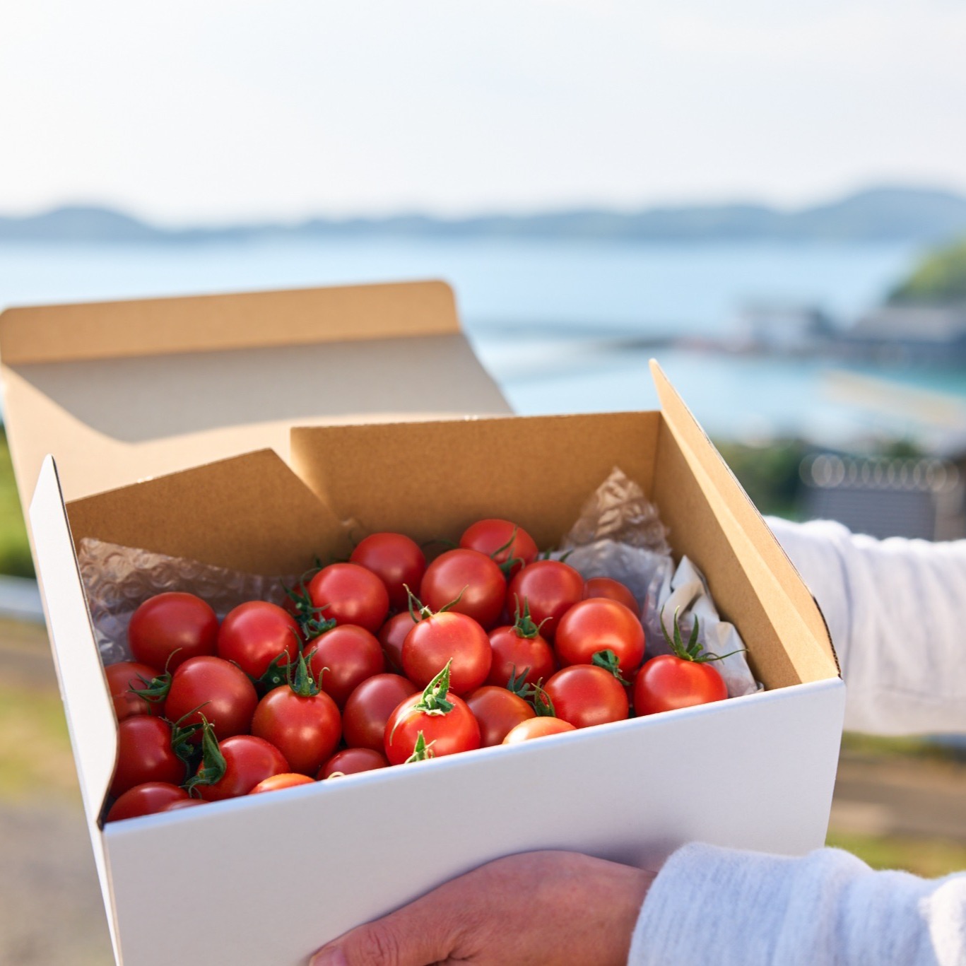 甘〜い フルティカトマト 限定9箱 07 リピート率97％！】離島育ちの 
