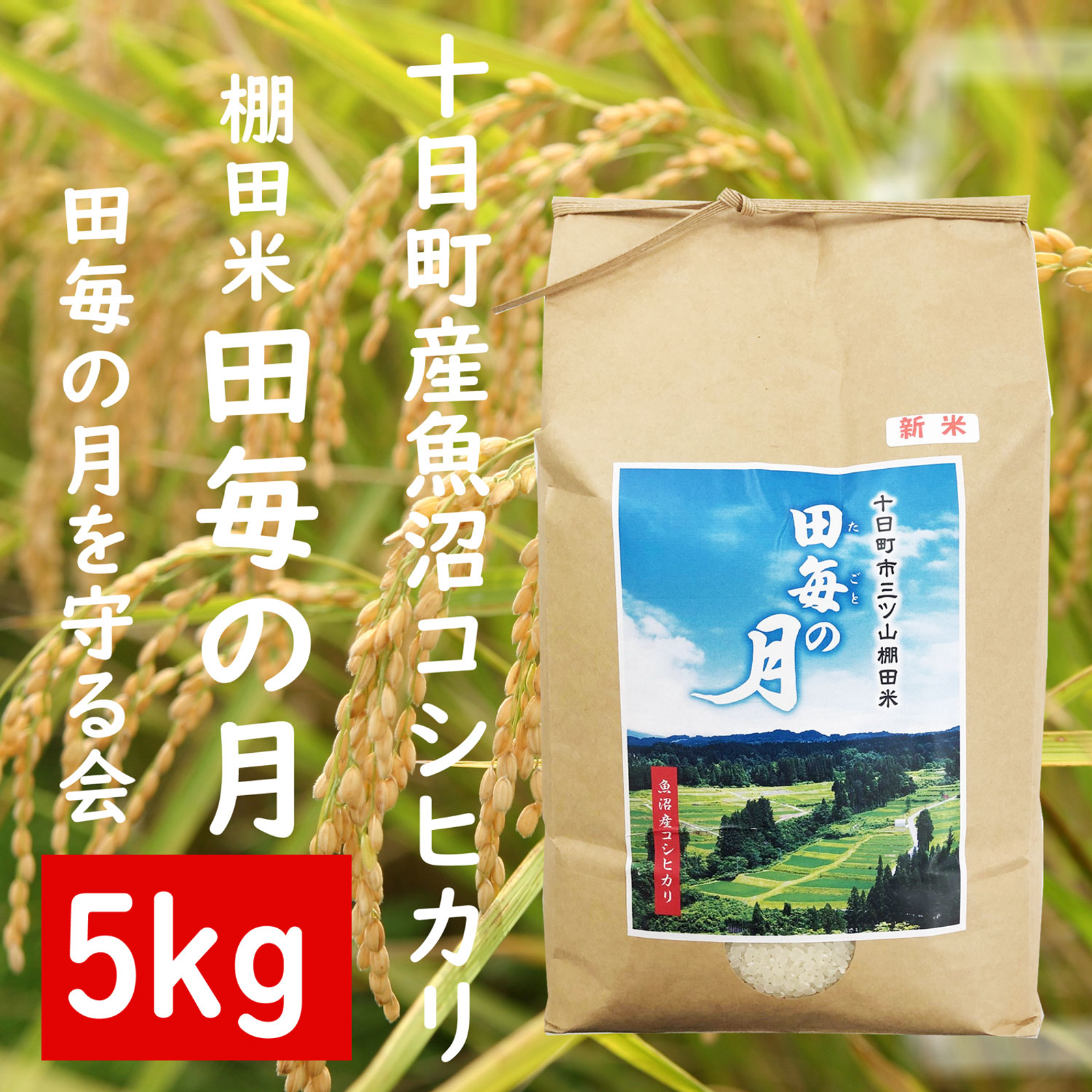 令和4年産棚田育ちのヒヨクモチ20kg 新米