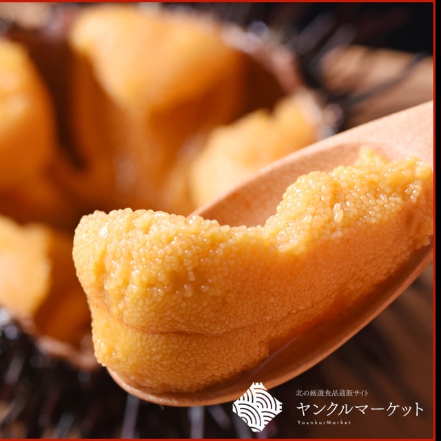 利尻島産生うに塩水パック【200g】 キタムラサキウニミョウバン不使用