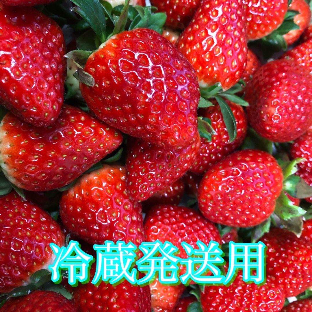 冷凍いちご 【古都華】10㎏⭐︎