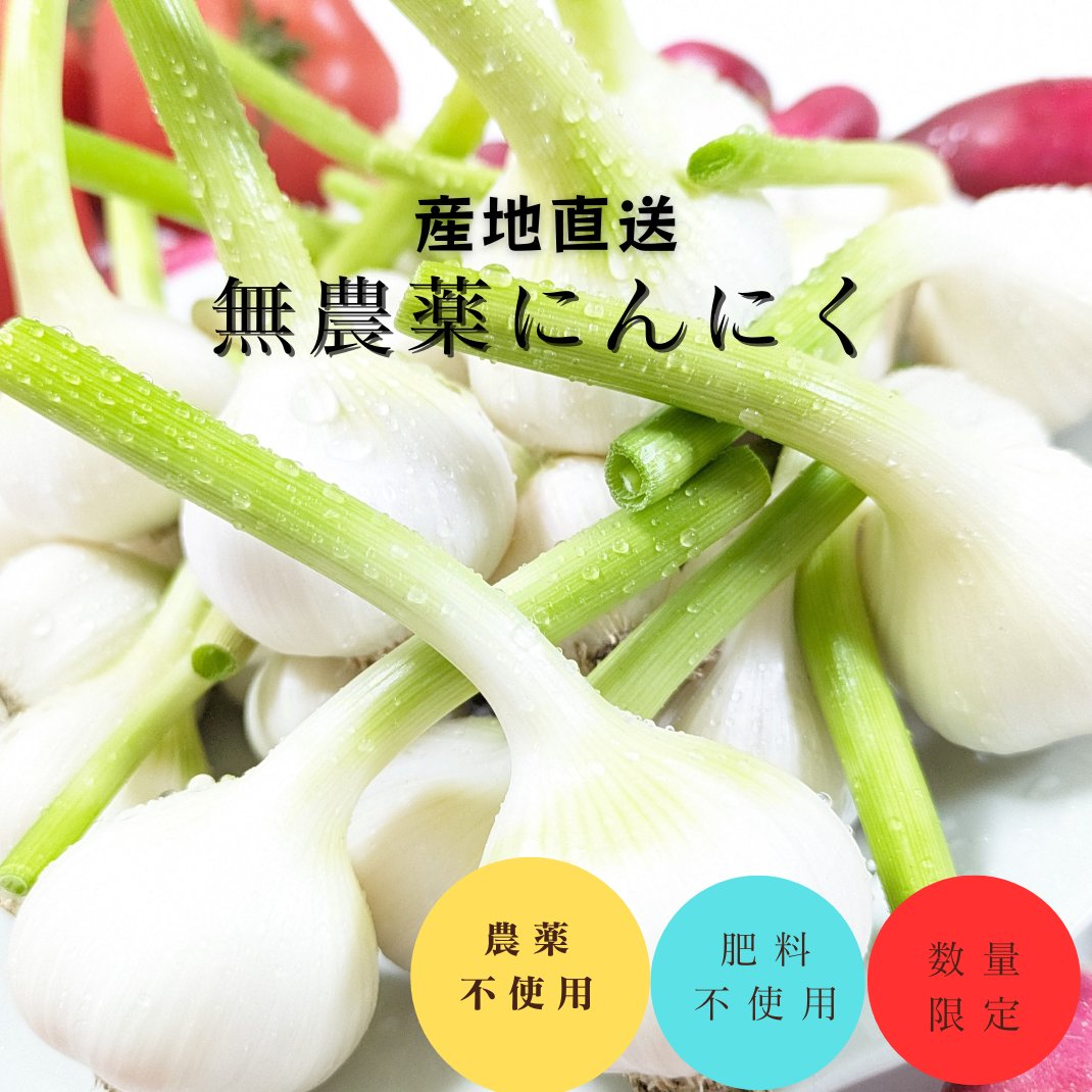 農薬肥料不使用にんにく ｜ 野菜/にんにく 産直アウル 農家・漁師など