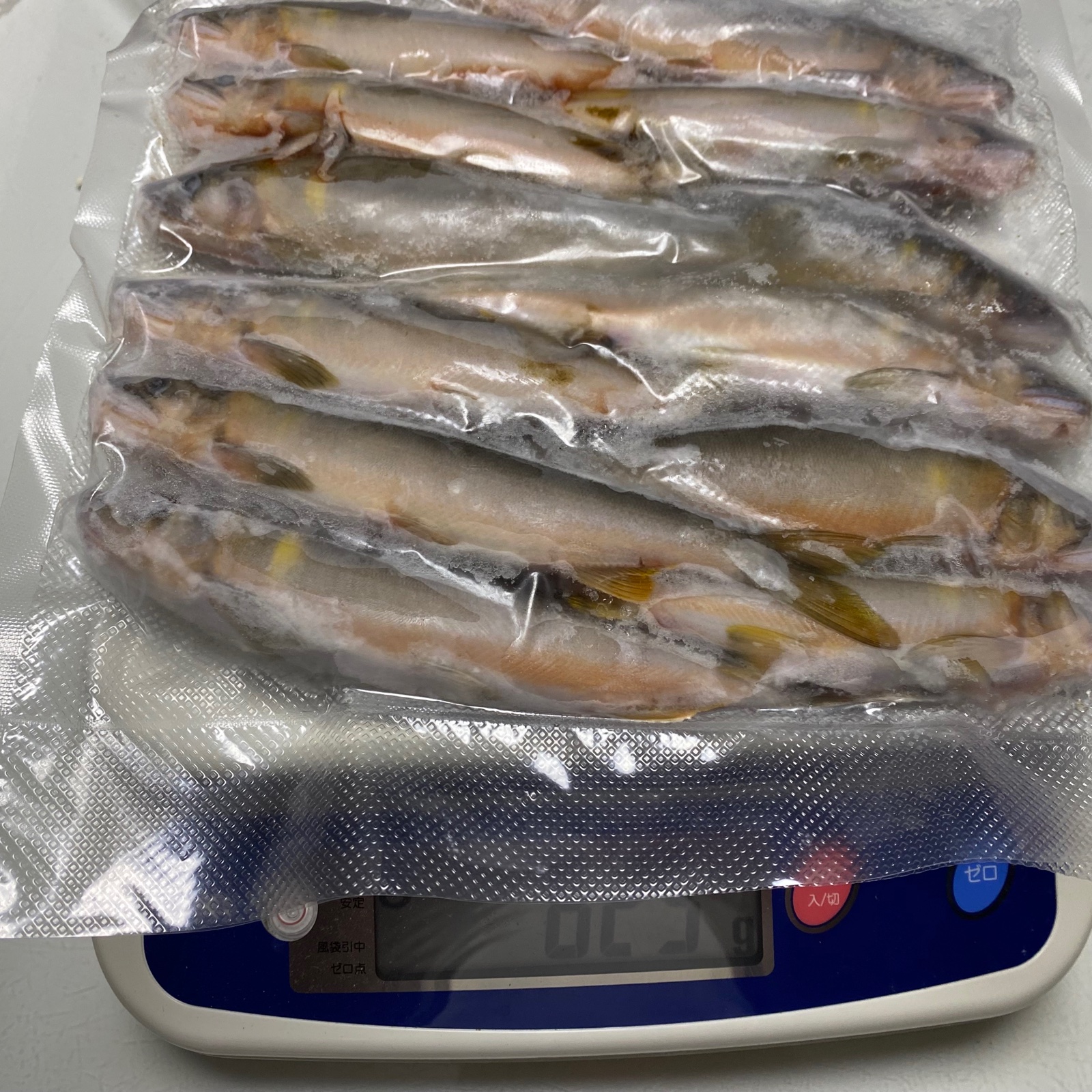 天然 鮎 友釣り 和歌山 有田川！ ｜ 魚介類/川魚 産直アウル 農家
