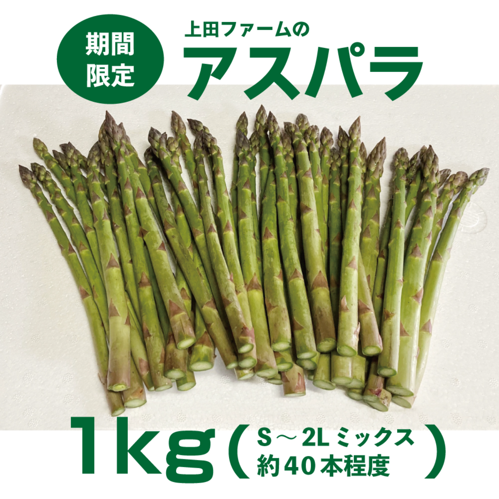 期間限定 【北海道苫前】上田ファームのアスパラ2kg（1kg×2袋）（S~2L 