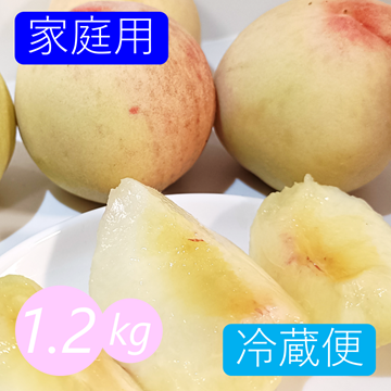 冷蔵便》【家庭用】桃 1.2kg (5～7玉) 愛媛県産 ｜ 果物/もも 産直
