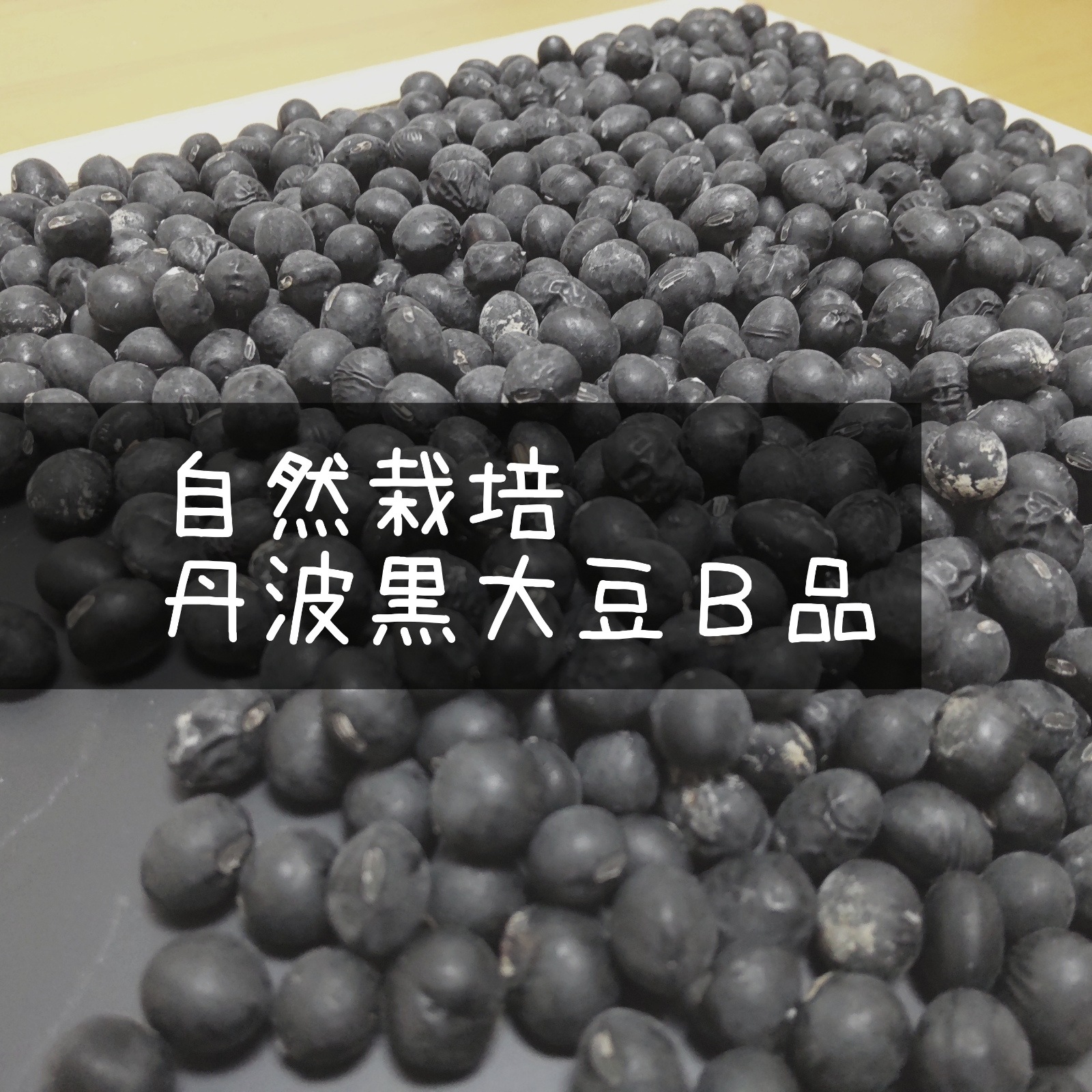 【高級品】B品 農薬不使用 化学肥料不使用 黒豆 丹波黒豆 予約【自然栽培】丹波黒大豆☆農薬肥料不使用の兵庫県産黒豆 [令和4