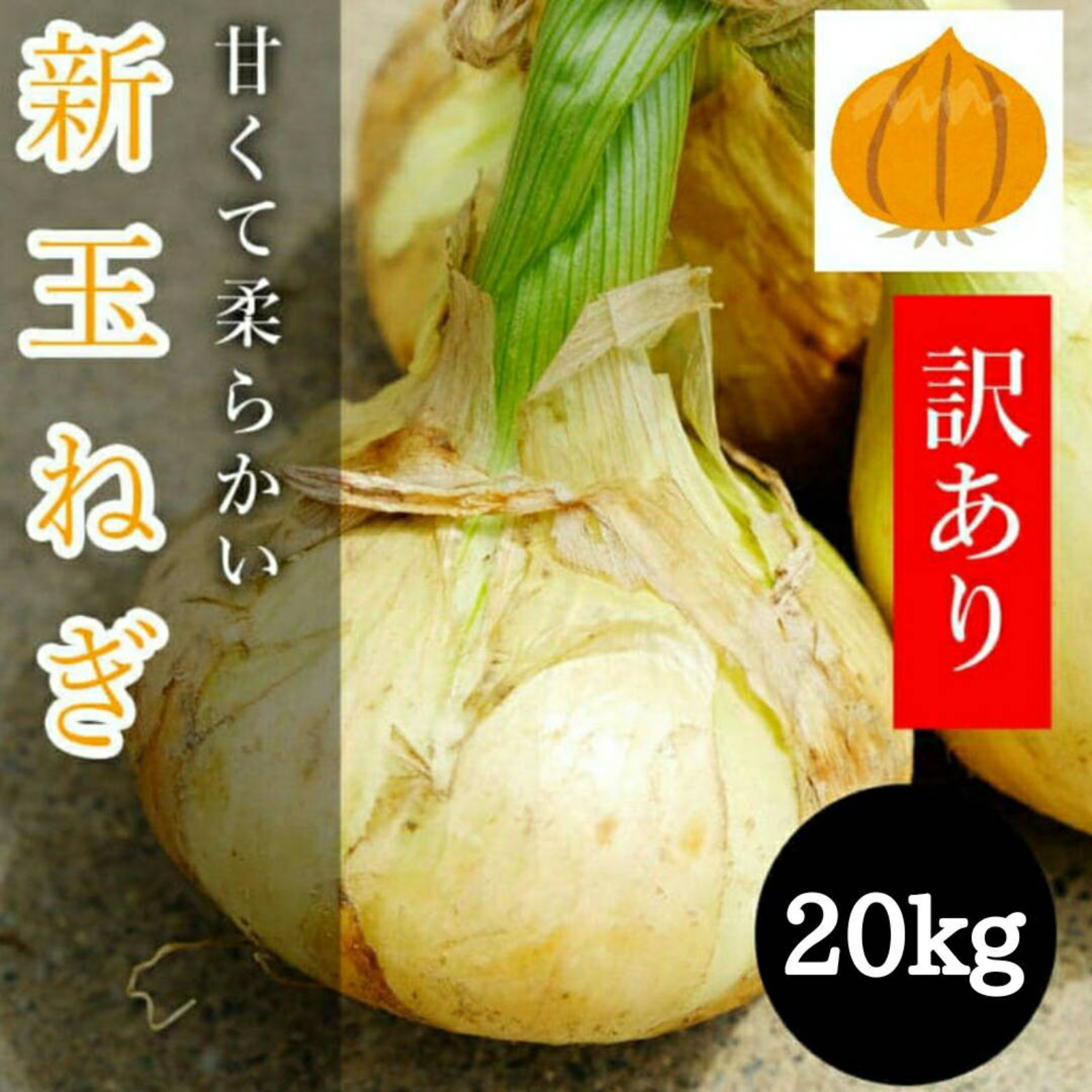 トロトロ新玉ねぎたっぷり20kg！数量限定！新タマネギ ｜ 野菜
