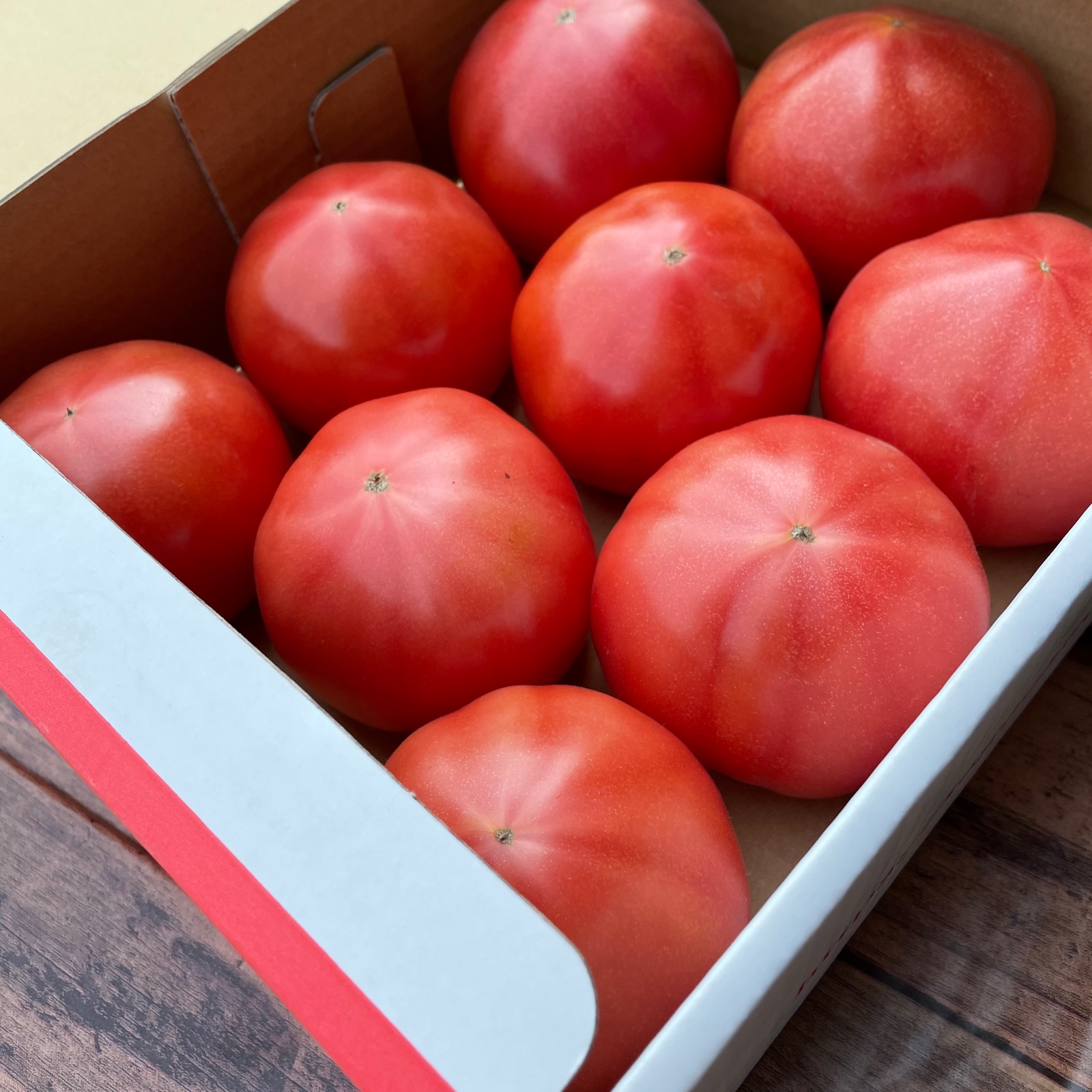 赤熟もぎり！水耕栽培の王様トマトL玉9個（2キロ箱） ｜ 野菜/トマト