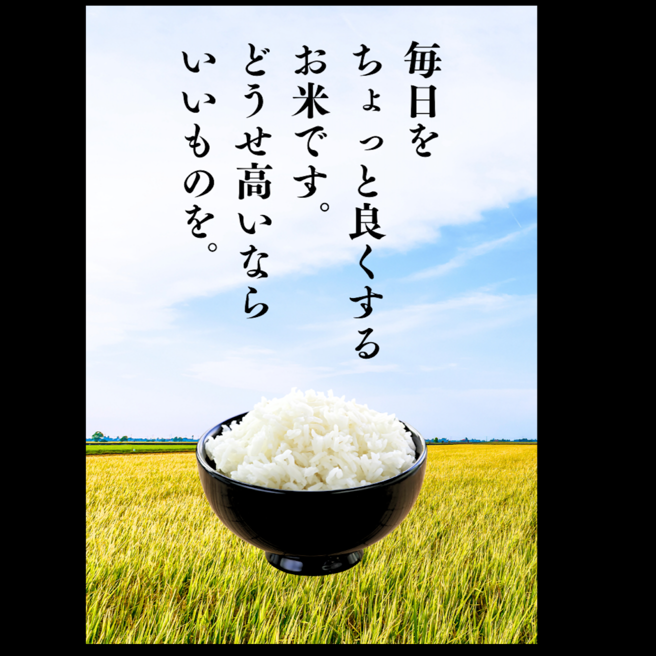 新米 2kg買い切りお試しサイズ いのちの壱 白米 ｜ 米・穀物/米/精米 