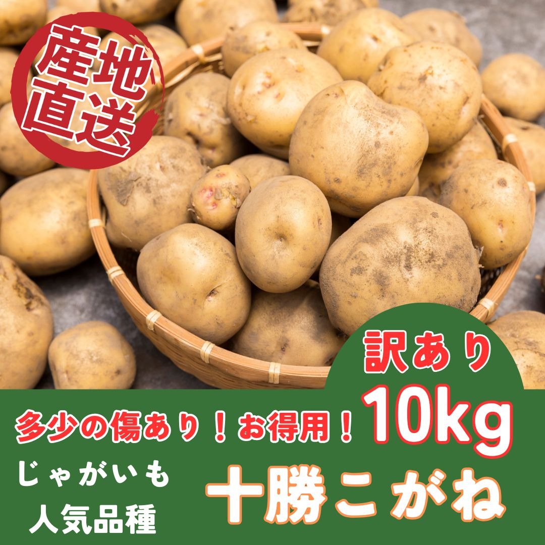 高級ジャガイモ 特売 10kg 10キロ 69 【公式通販】