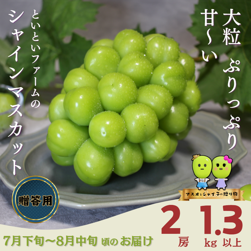最短翌日発送　大粒シャインマスカット2房入り 大粒シャインマスカット贈答品2房1.3kg8月上～下旬 ｜ 果物/ぶどう