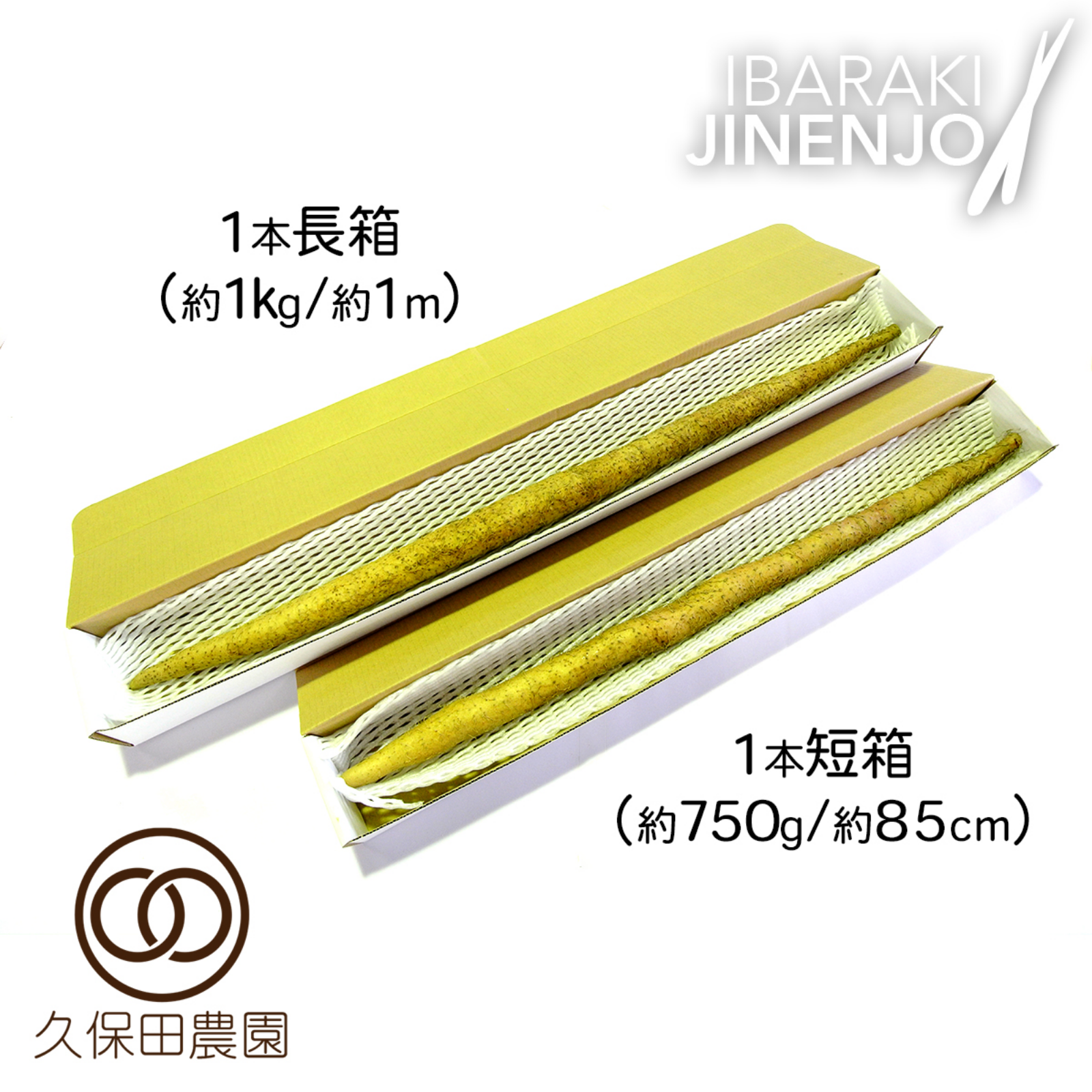 茨城の自然薯 1本(約900g/1m)長箱 ｜ 野菜/長いも・山いも 産直アウル