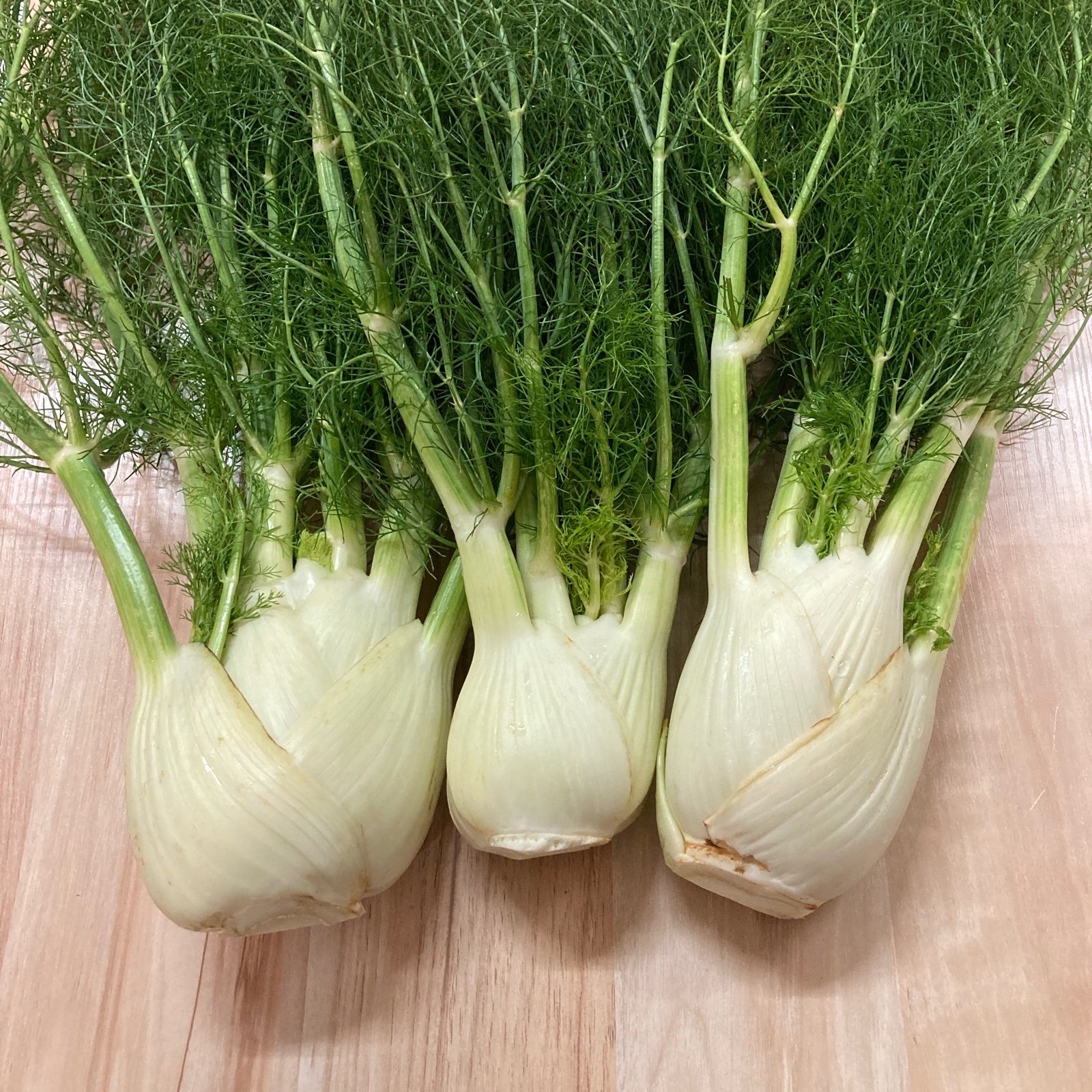 飲食店向け】有機野菜フェンネル ｜ 野菜/ハーブ 産直アウル 農家