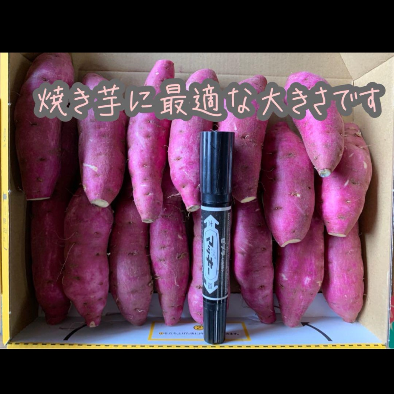 ウサギ 紅はるかB品5kg さつまいも 5kg 紅はるか 茨城県産 18～22本前後 Mサイズ 甘い DX