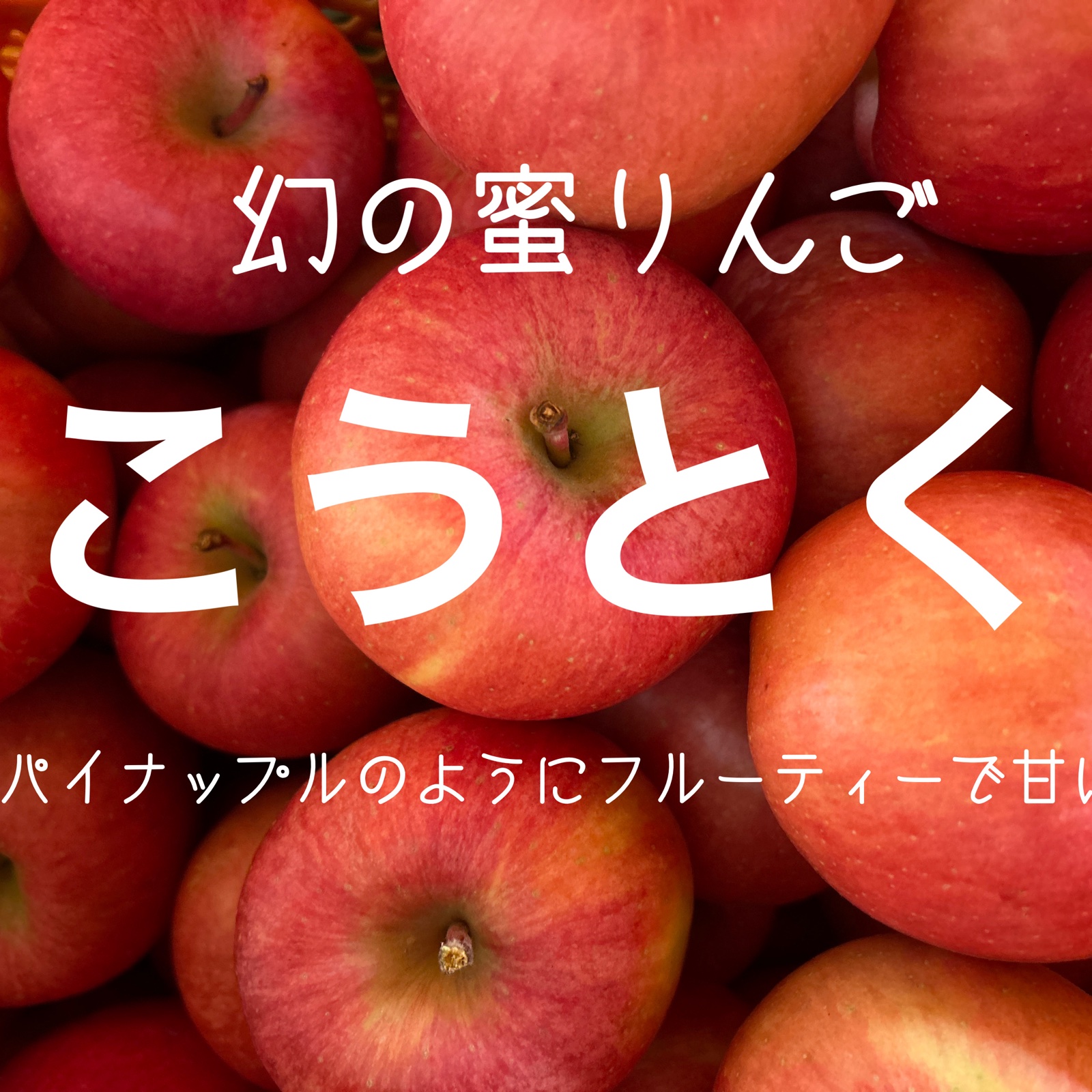 幻の蜜りんご！山形県産こうとく【丸秀5キロ】 ｜ 果物/りんご 産直