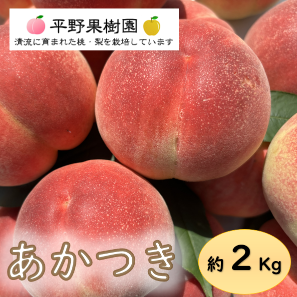 桃源郷錦 あかつき桃 2kg箱(6〜8個入り) ｜ 果物/もも 産直アウル 農家