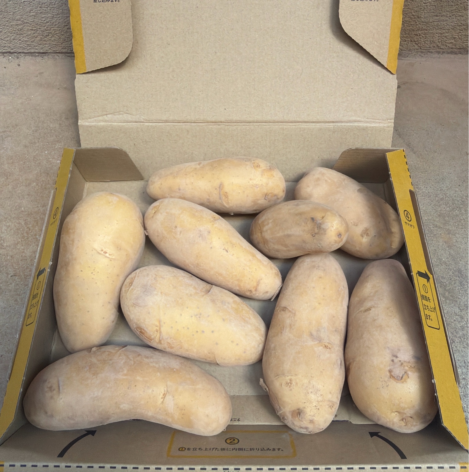 長崎県産 じゃがいも 1.3kg ｜ 野菜/じゃがいも 産直アウル 農家・漁師
