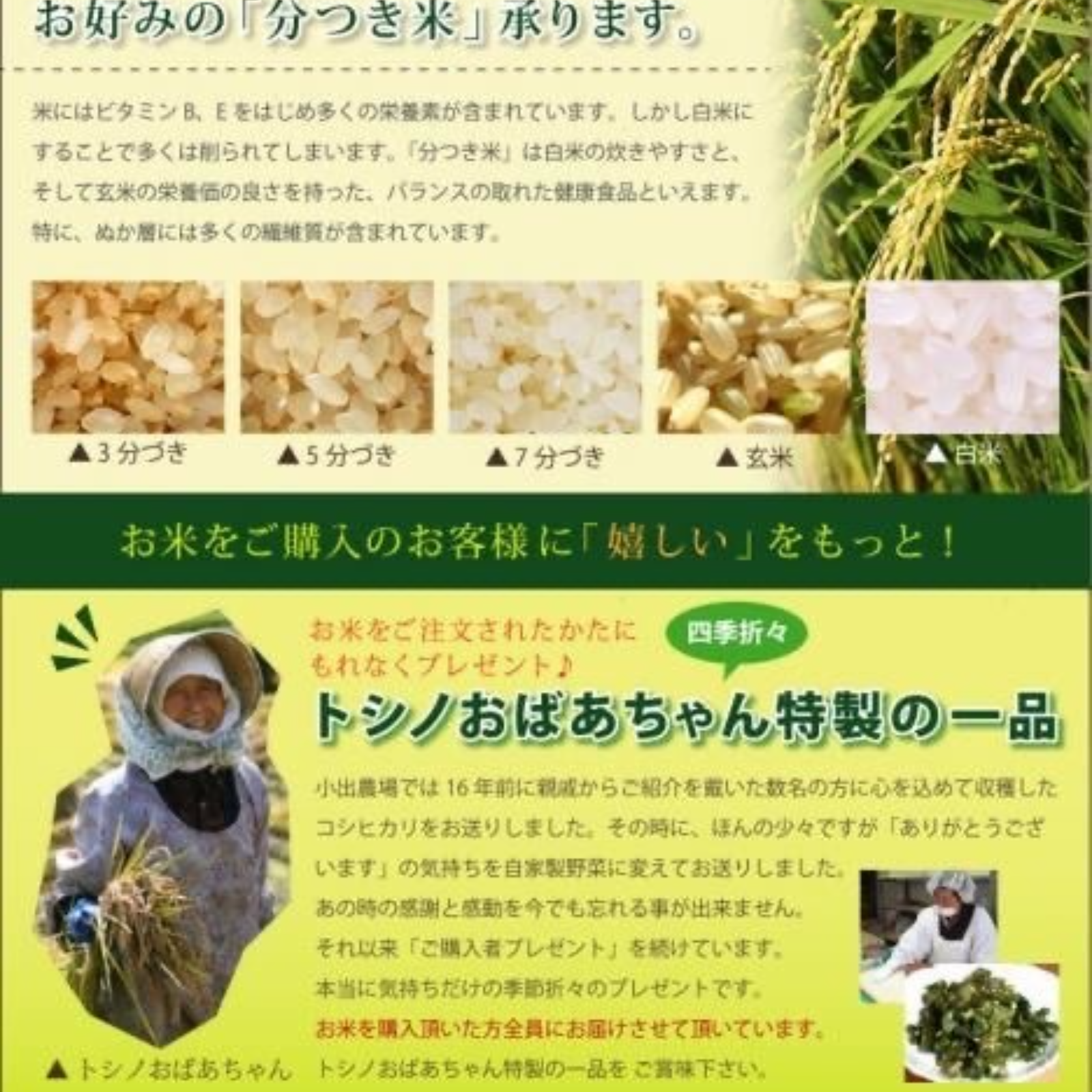令和7年　はえぬき　無洗米　約27kg+約2kg（つきあかり　無洗米）