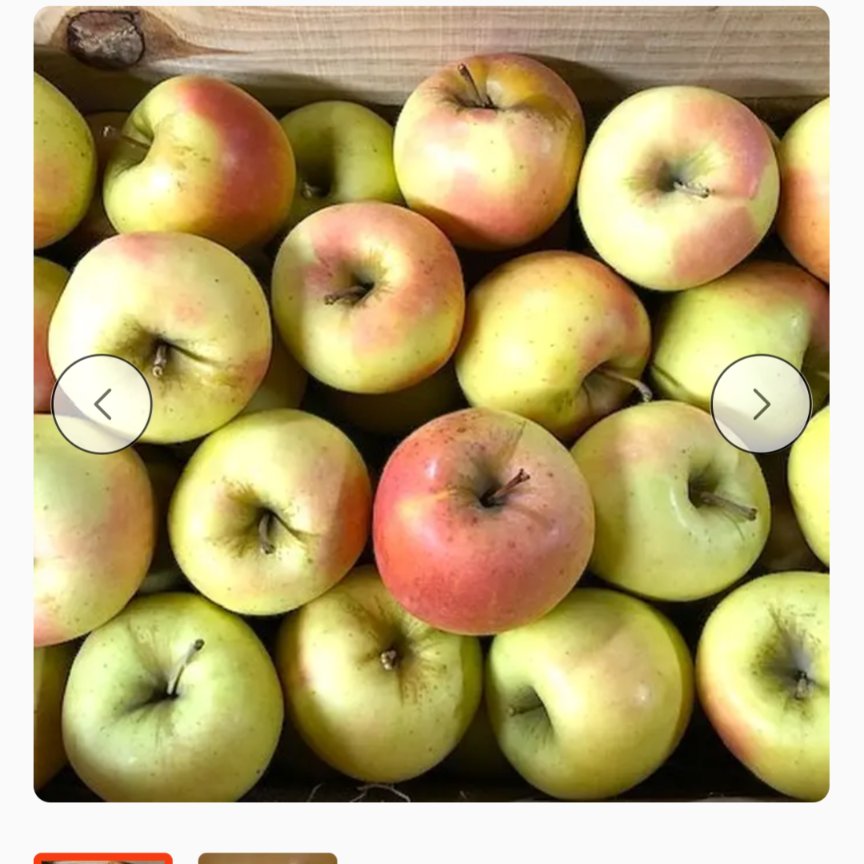 まあちゃん　名月小玉 食べ比べ】極小りんご＆ぐんま名月小玉 | 果物/りんご 産直アウル 農家