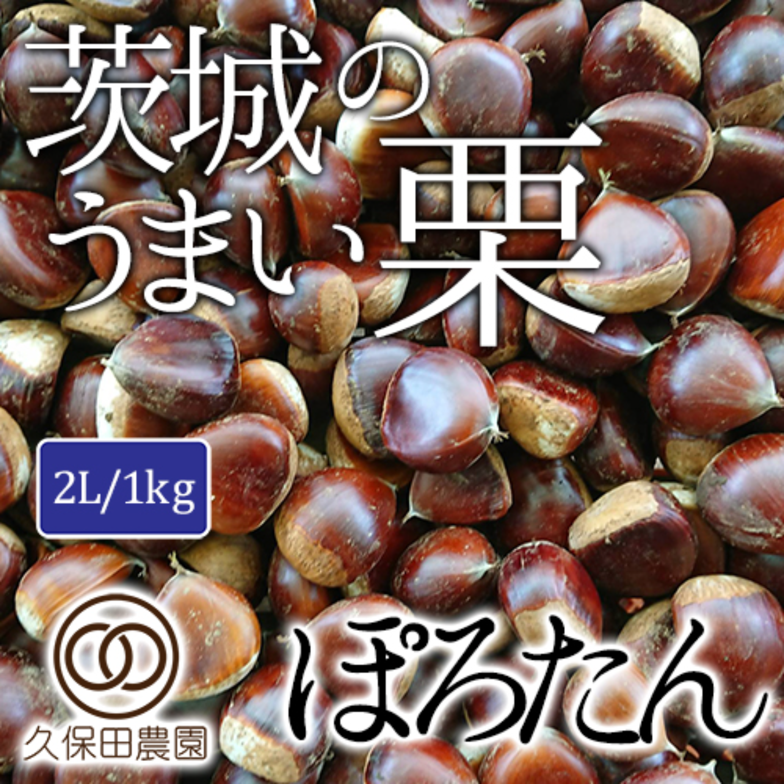 茨城のうまい栗（ぽろたん） 2Lサイズ 約2kg | 果物/栗 産直アウル