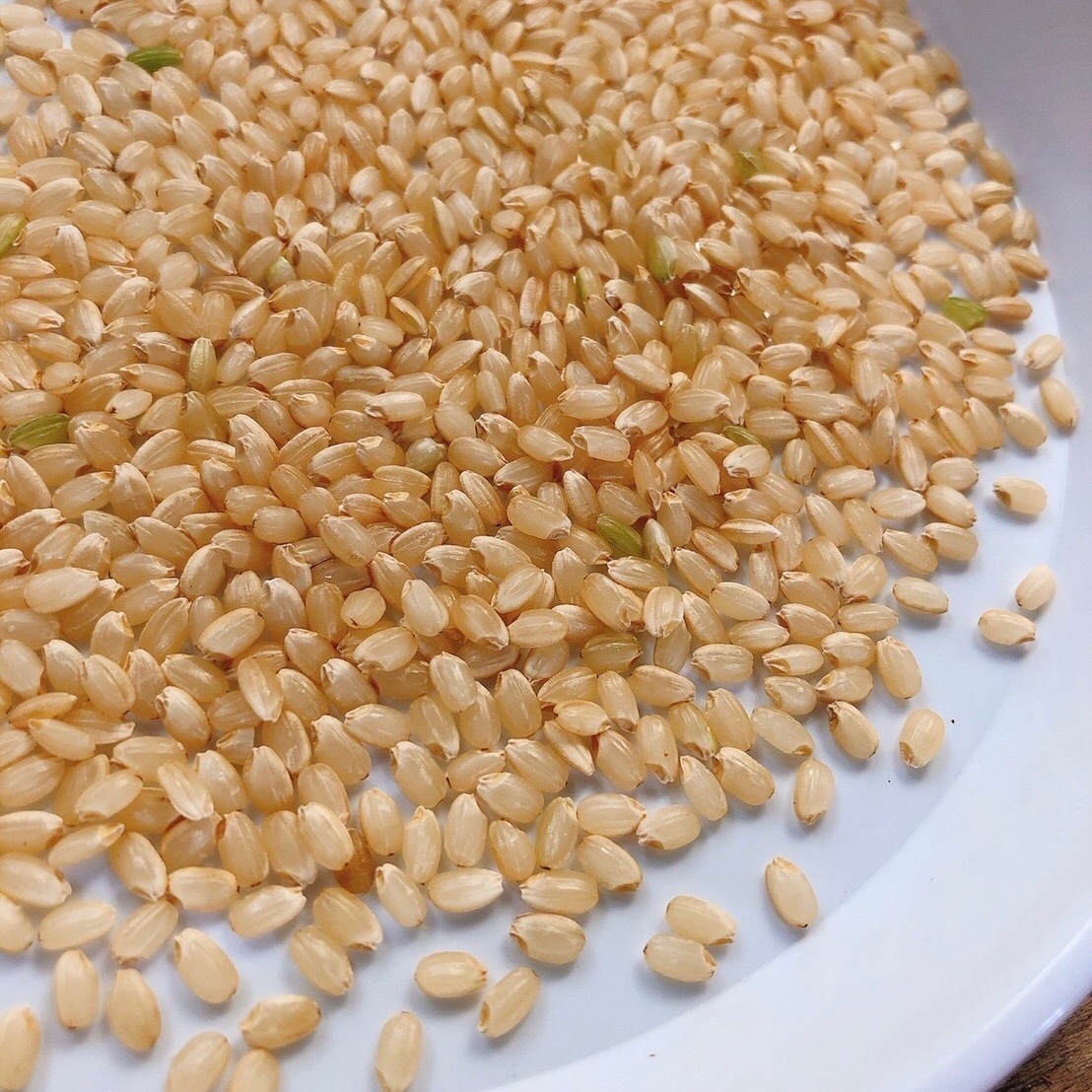 新米】5分づきで玄米生活スタート！絶品ミルキークィーン4.5Kg（5分