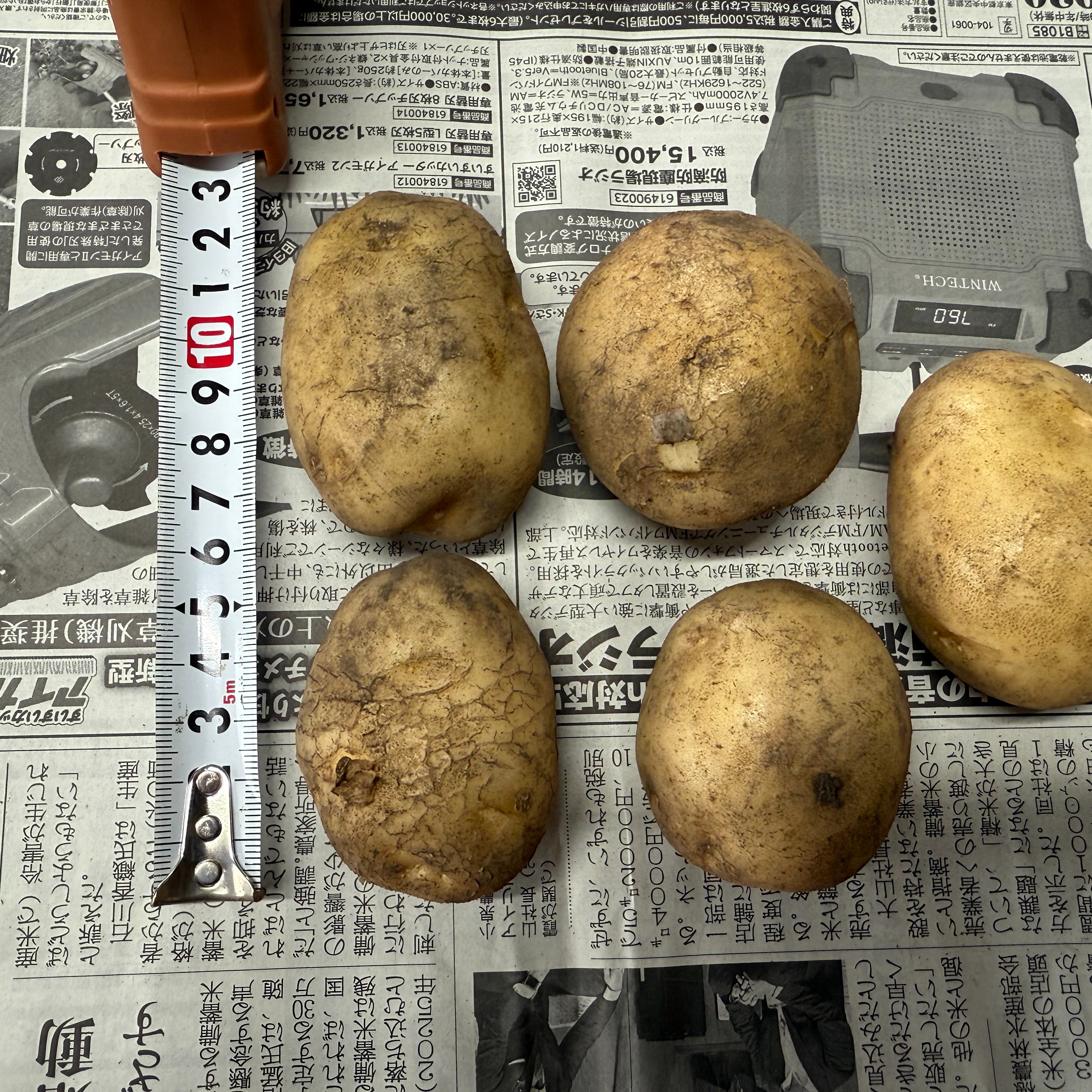 R7年春の新ジャガイモSサイズ2kg送料込み ｜ 野菜/じゃがいも 産直